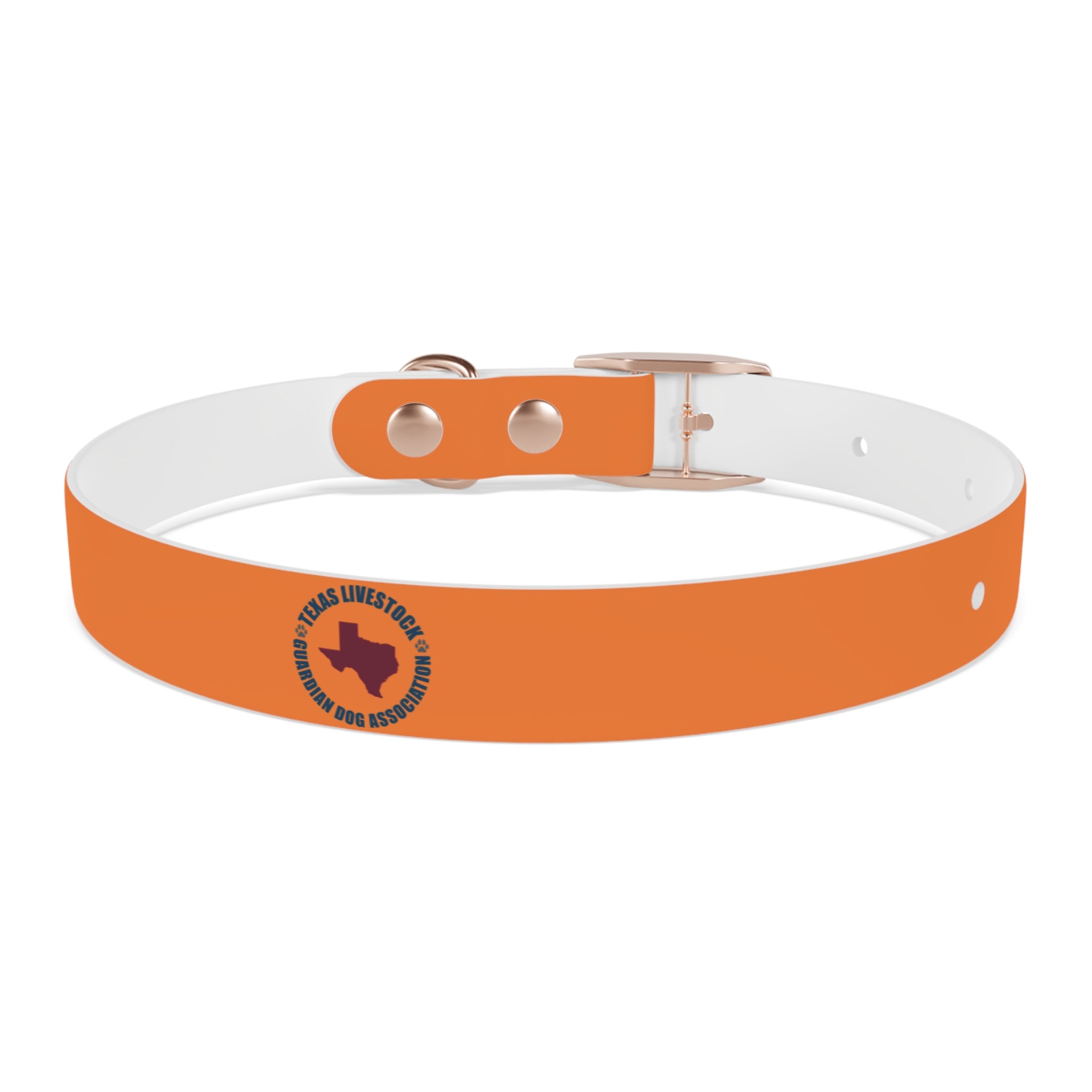Orange Logo Dog Collar — Texas Livestock Club Pet Collar