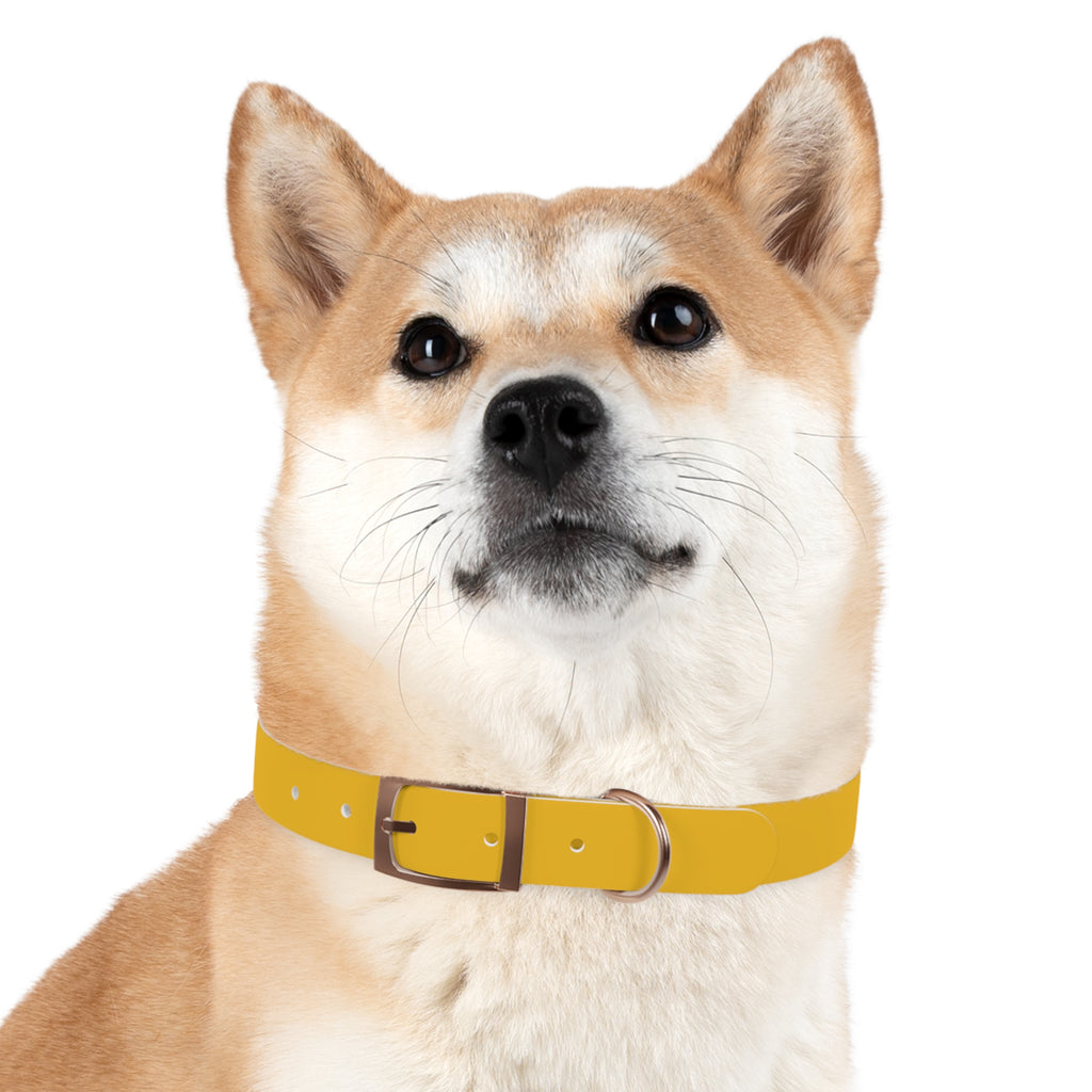 Yellow Customizable Dog Collar — Texas Livestock Association Logo Option