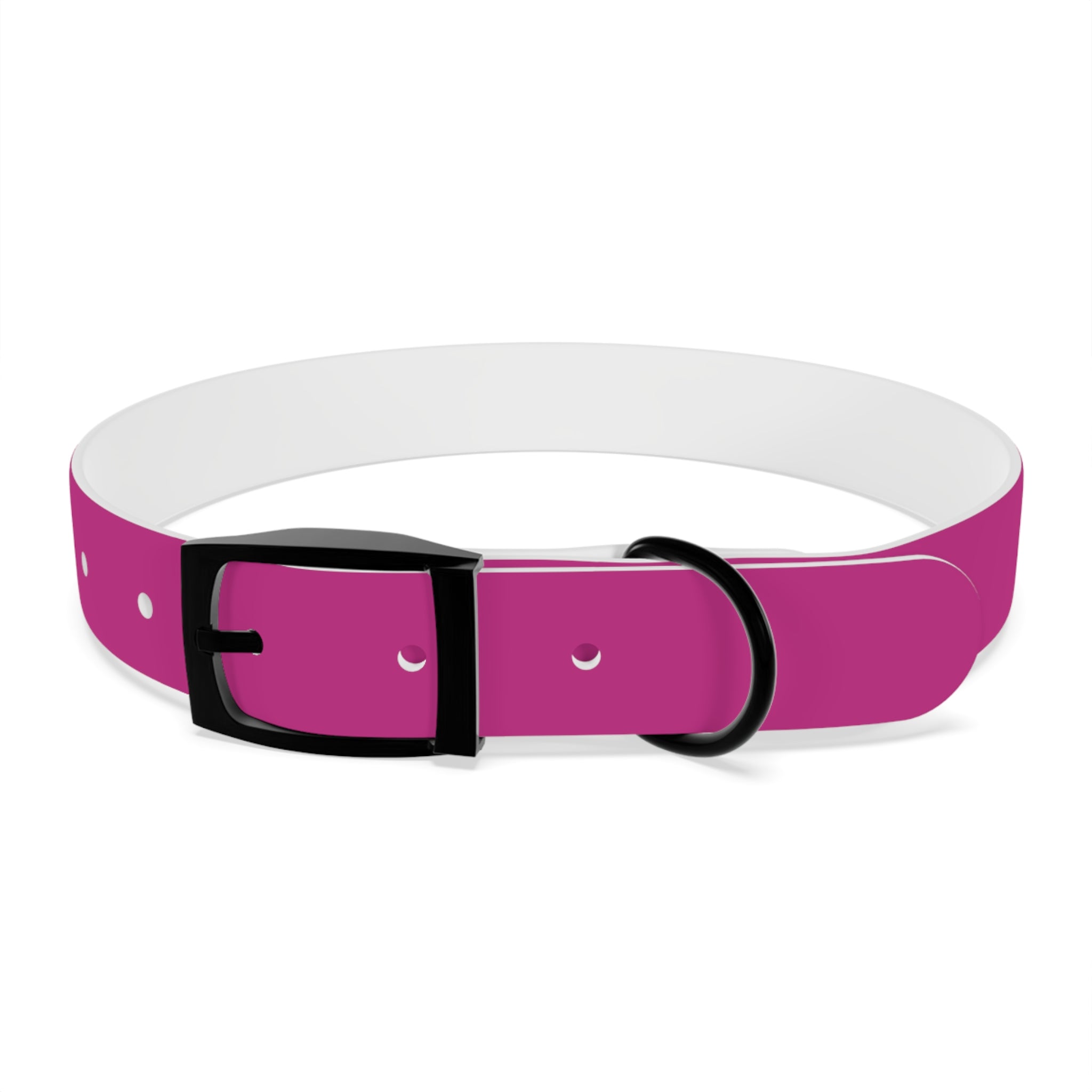 Pink Leather Dog Collar — Texas Livestock Show Logo