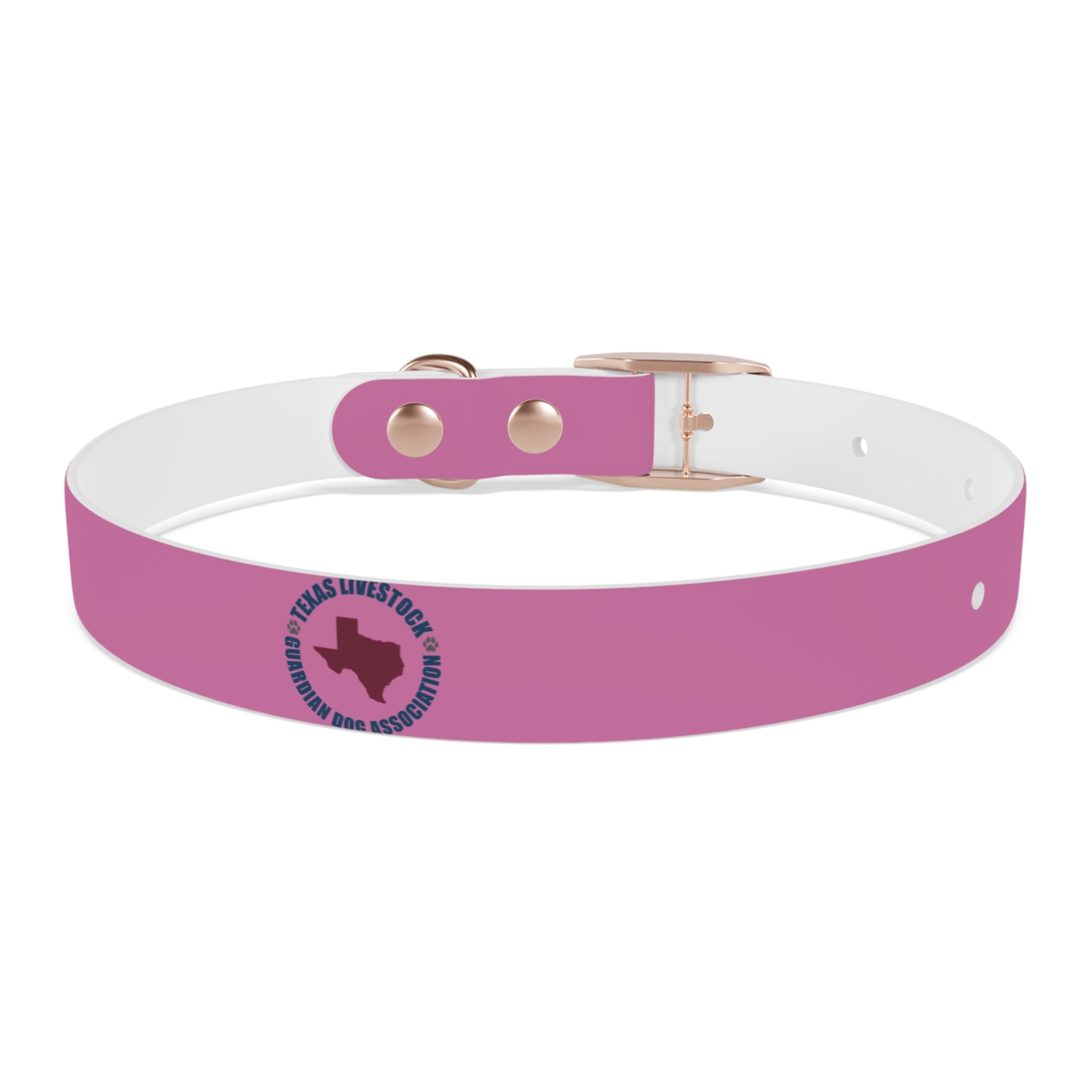 Pink Texas Livestock Association Dog Collar — Adjustable Pet Collar