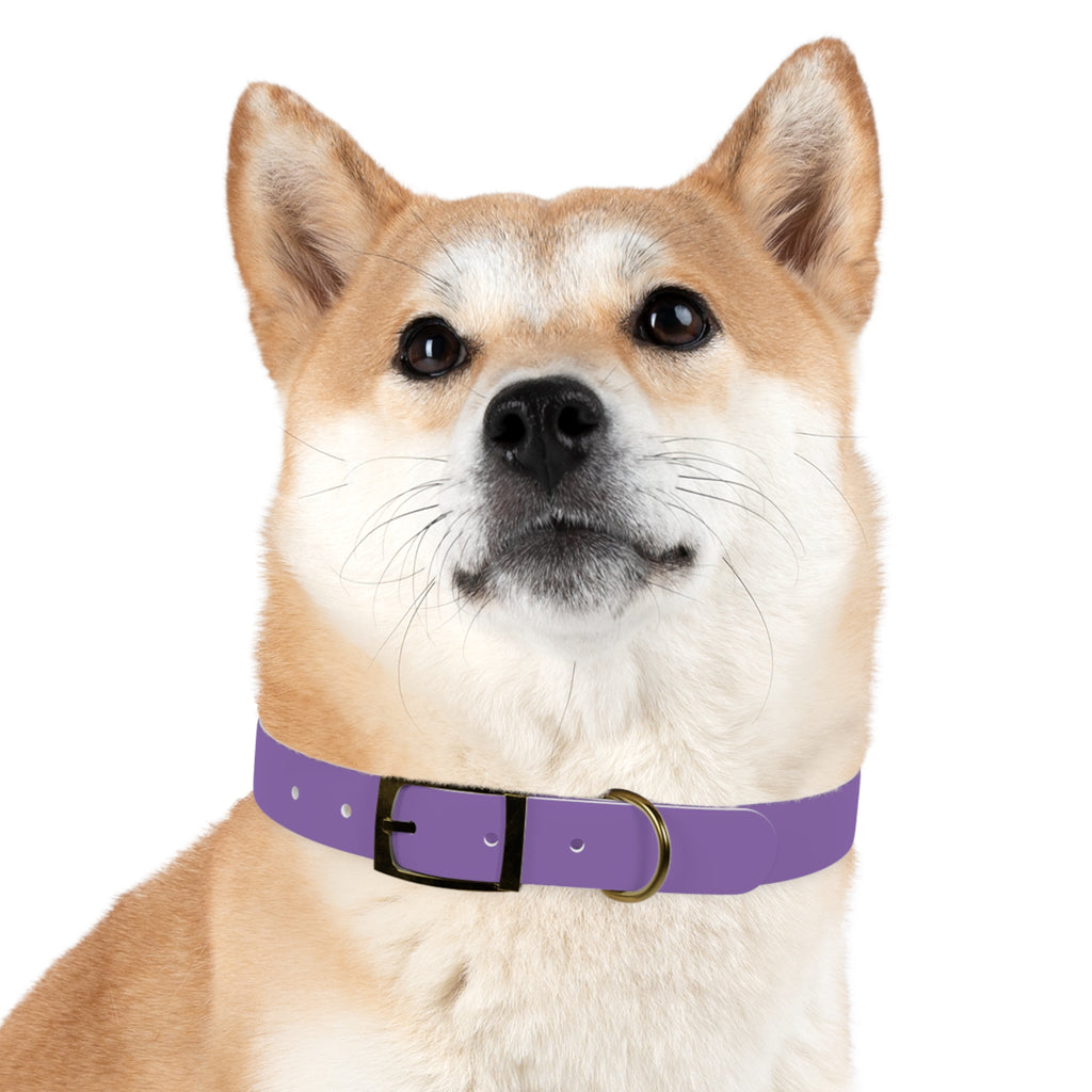 Purple Custom Dog Collar with Texas Livestock Logo — Durable Adjustable Pet Collar