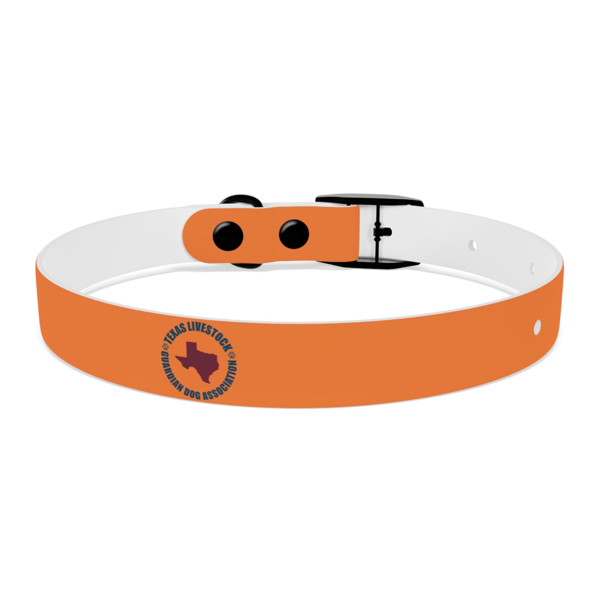 Orange Logo Dog Collar — Texas Livestock Club Pet Collar