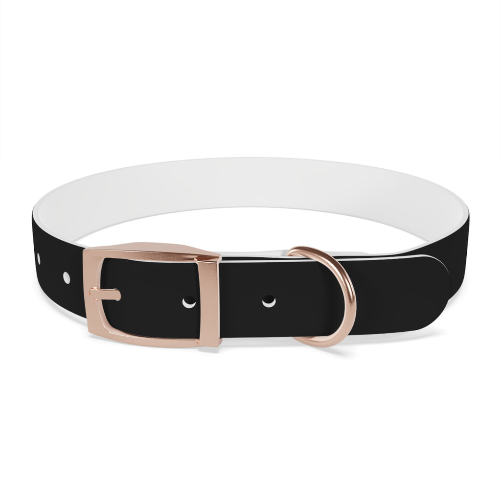 Black Leather Dog Collar — Durable Everyday Collar with Metal Buckle