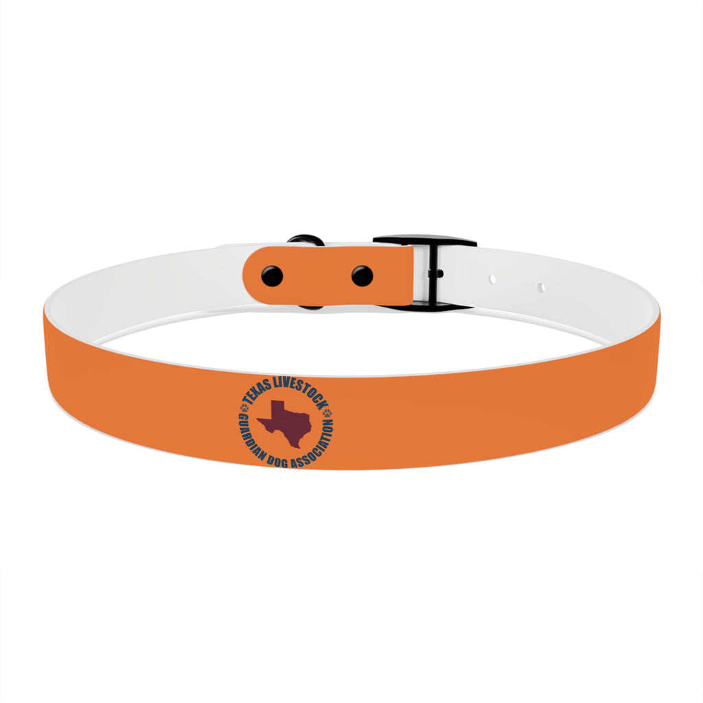 Orange Logo Dog Collar — Texas Livestock Club Pet Collar