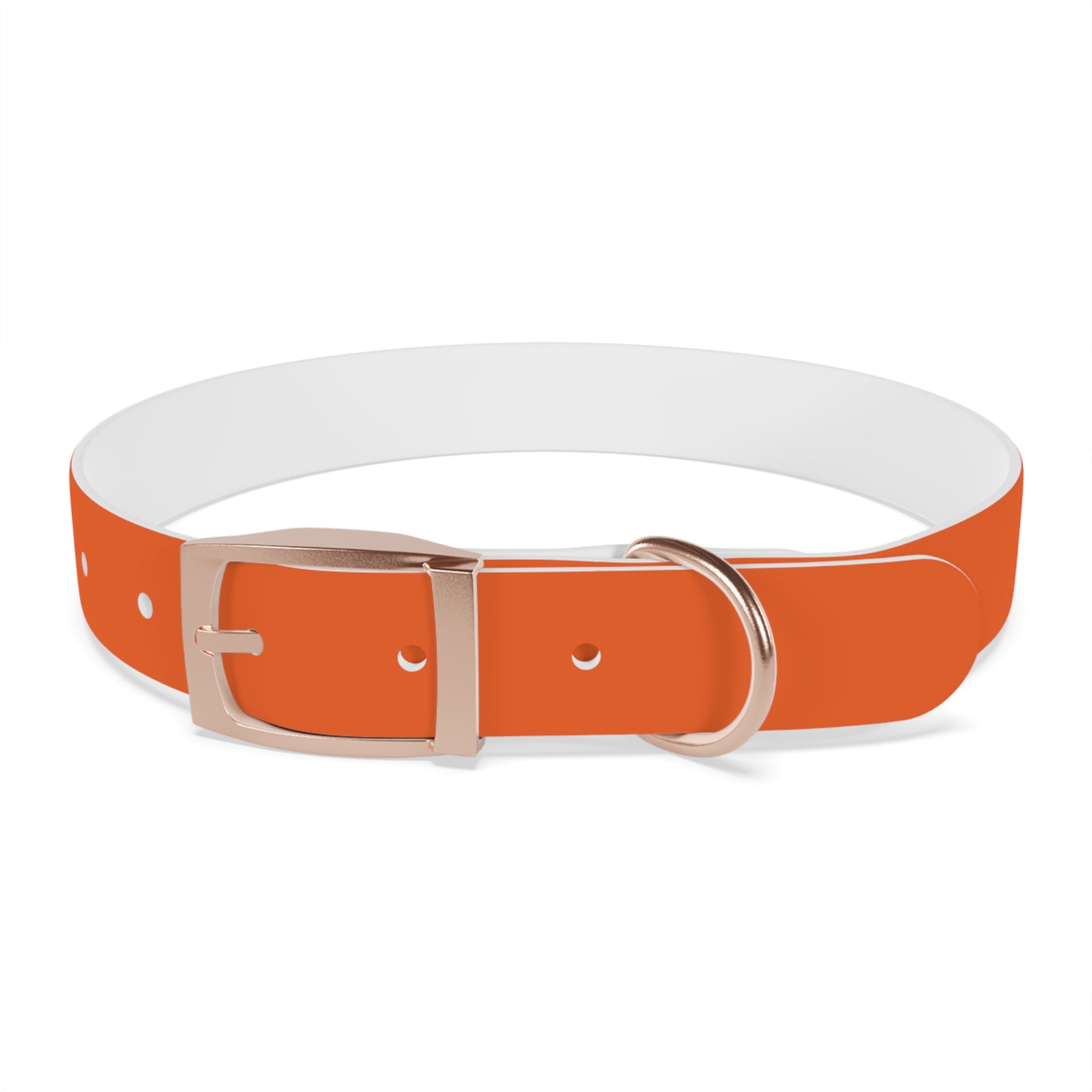 Orange Leather Dog Collar — Texas Livestock Logo