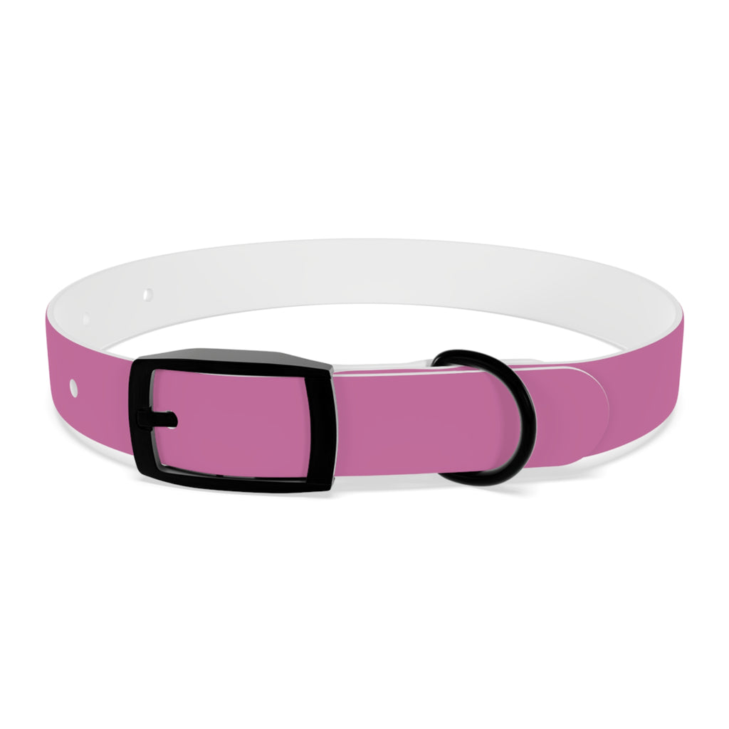 Pink Texas Livestock Association Dog Collar — Adjustable Pet Collar