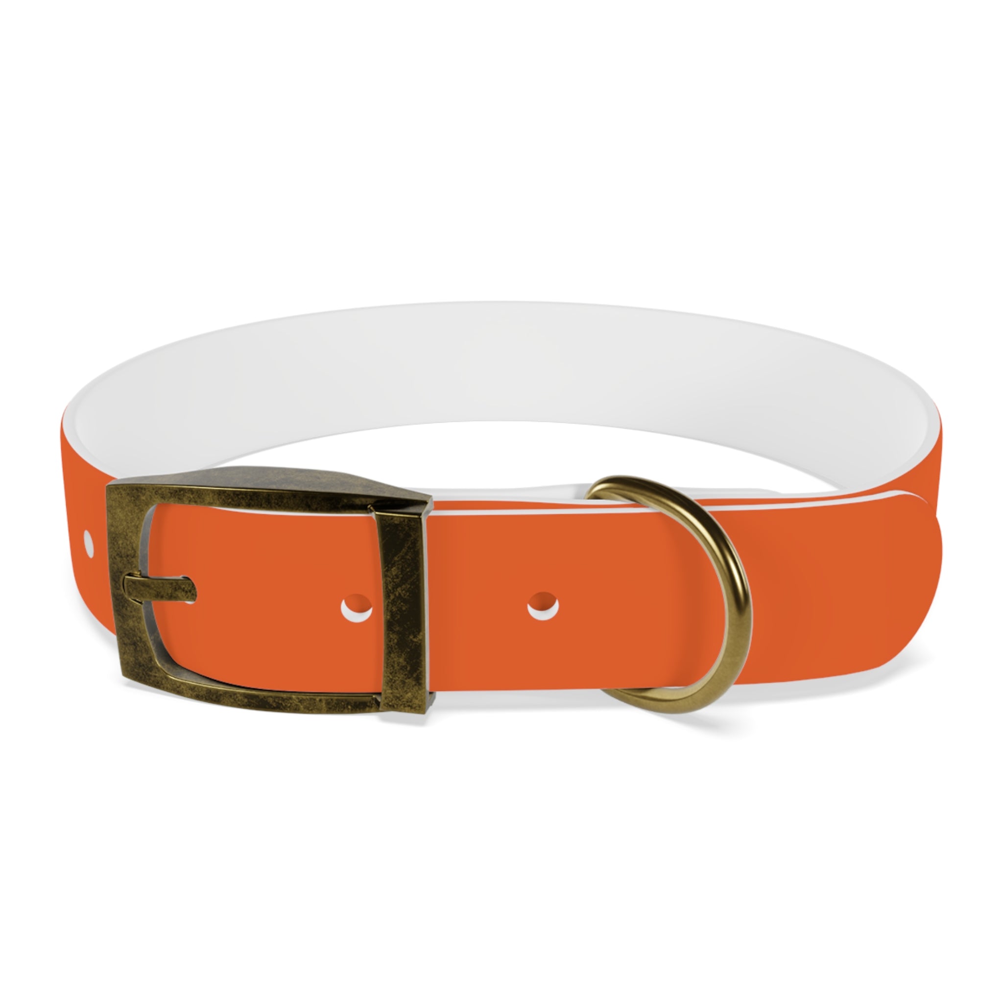 Orange Leather Dog Collar — Texas Livestock Logo