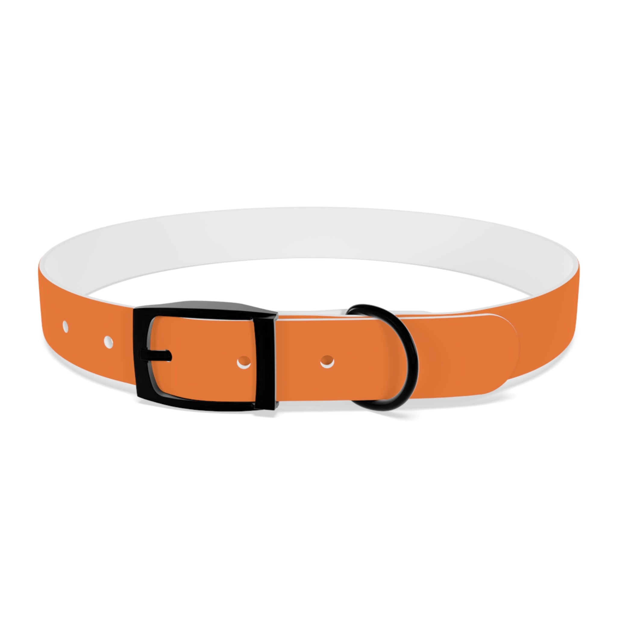 Orange Logo Dog Collar — Texas Livestock Club Pet Collar