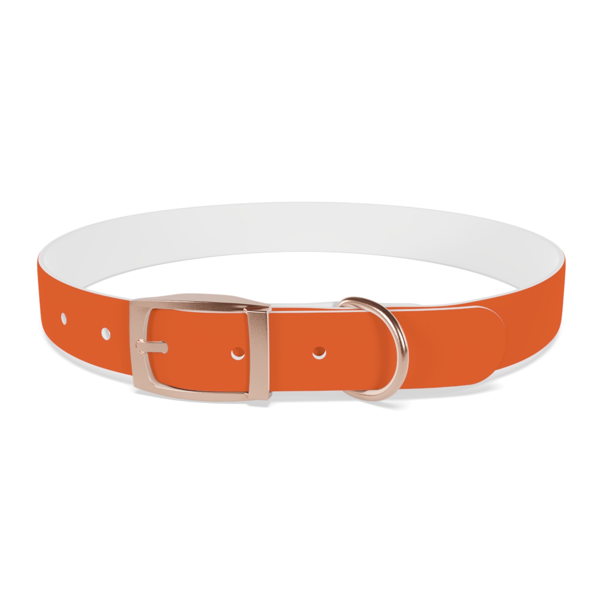 Orange Leather Dog Collar — Texas Livestock Logo