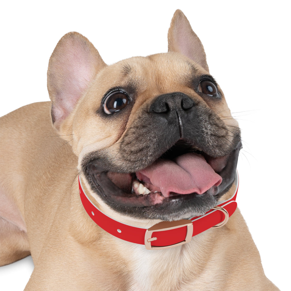 Red Personalized Dog Collar with Texas Logo — Durable Adjustable Pet Collar
