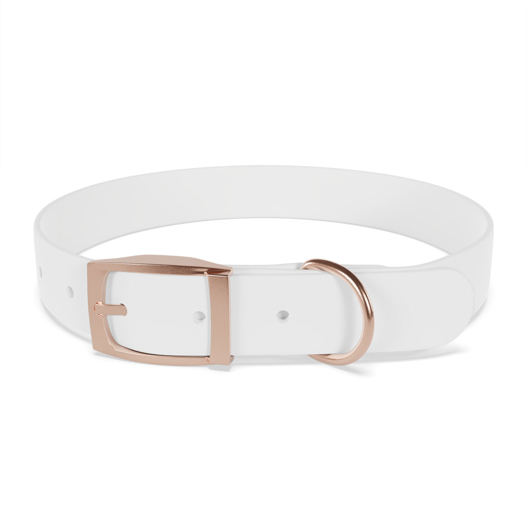 Custom Printed Dog Collar — Texas Livestock Association Logo