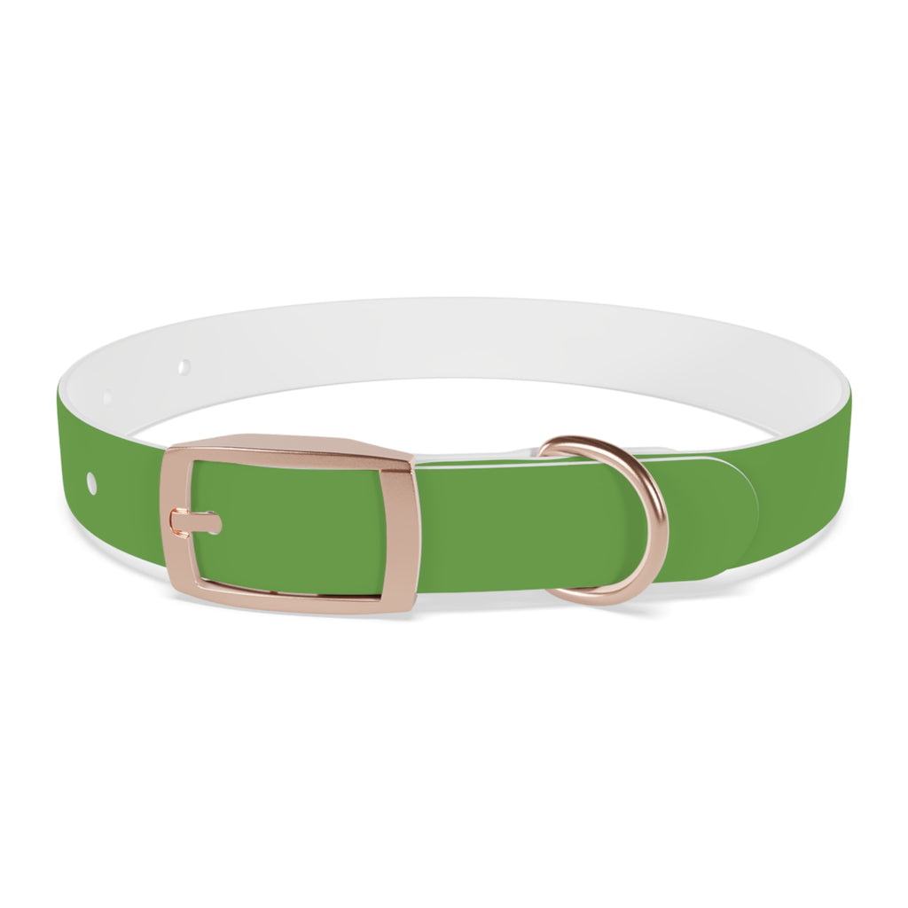 Dog Collar