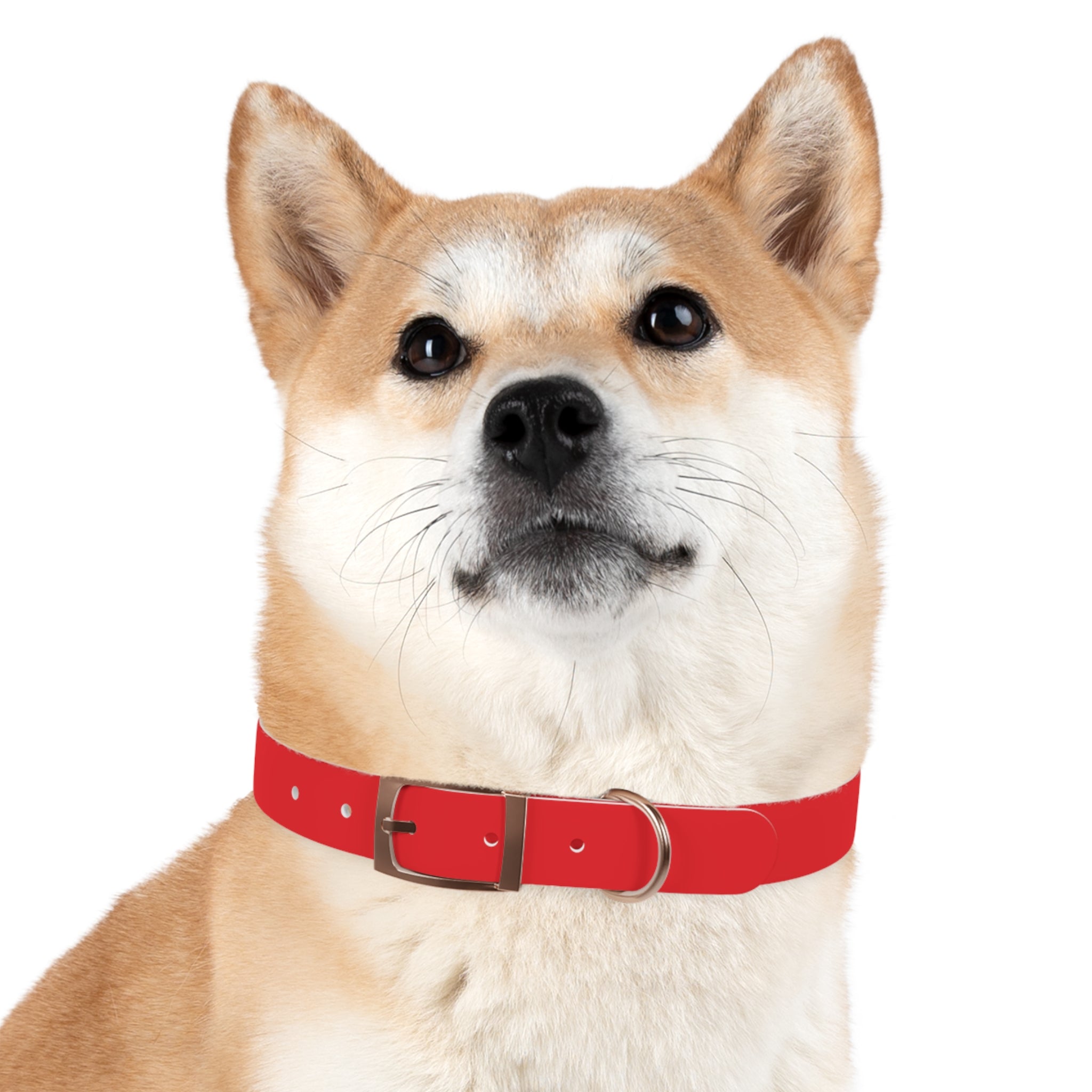 Red Personalized Dog Collar with Texas Logo — Durable Adjustable Pet Collar