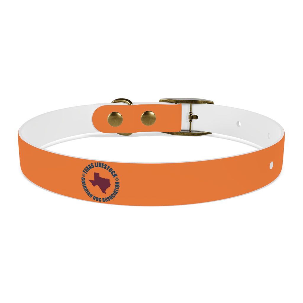 Orange Logo Dog Collar — Texas Livestock Club Pet Collar
