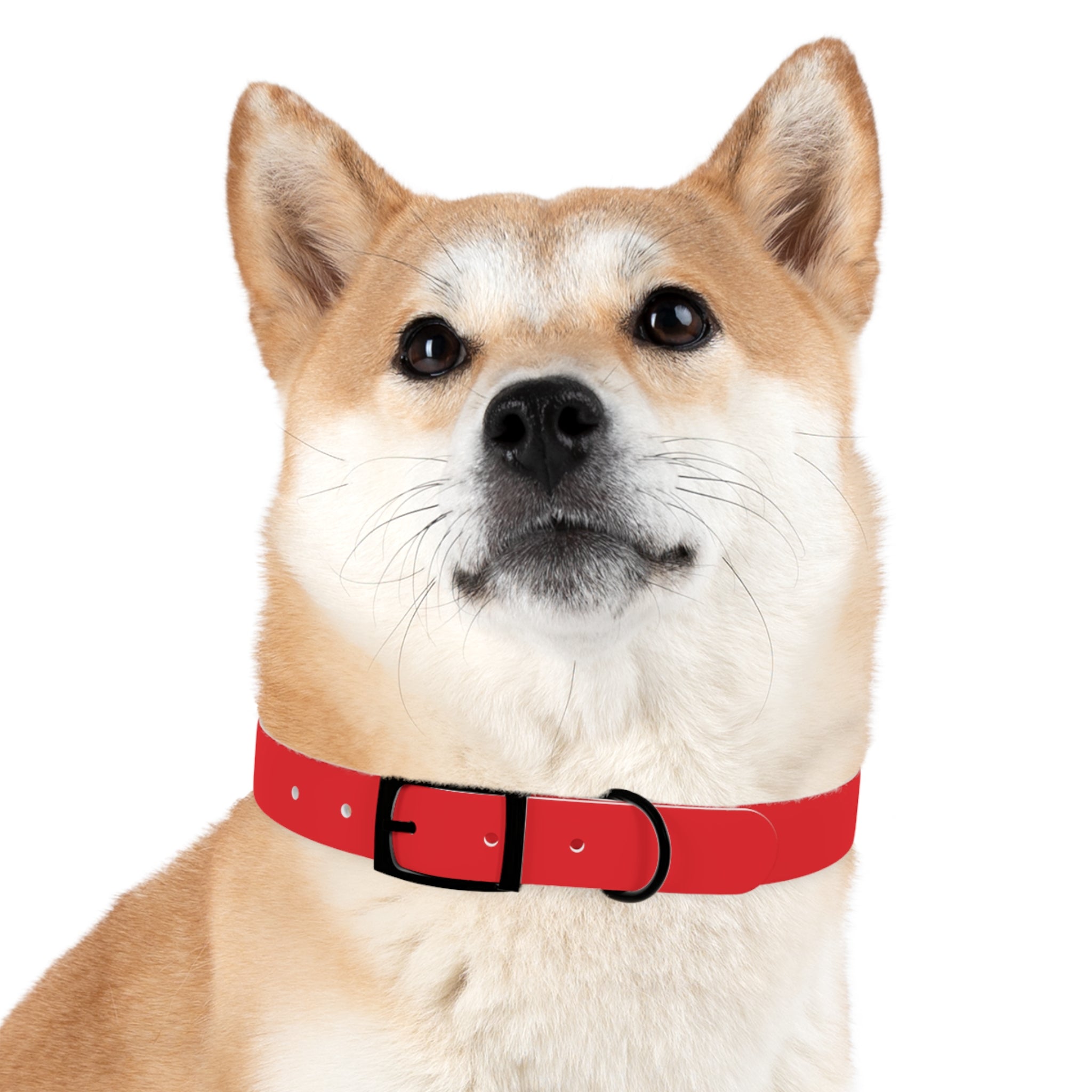 Red Personalized Dog Collar with Texas Logo — Durable Adjustable Pet Collar