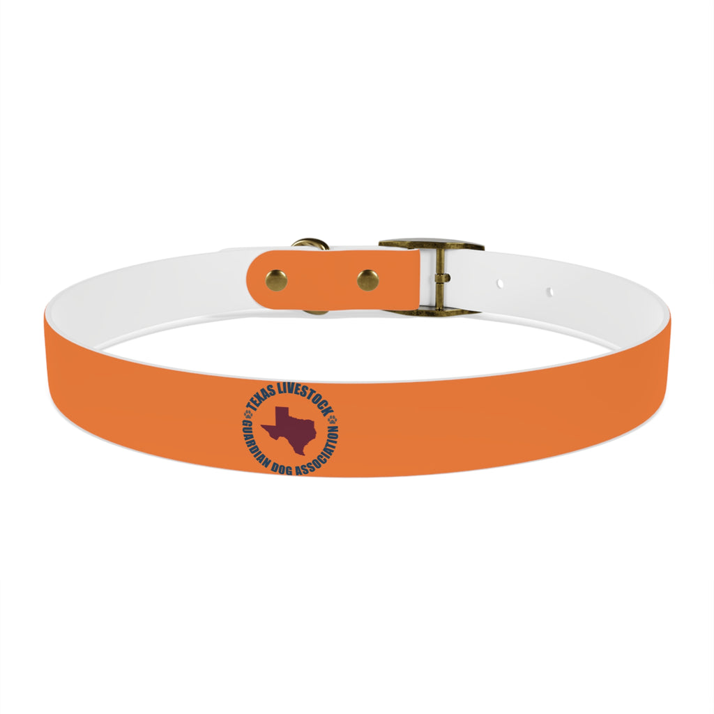 Orange Logo Dog Collar — Texas Livestock Club Pet Collar