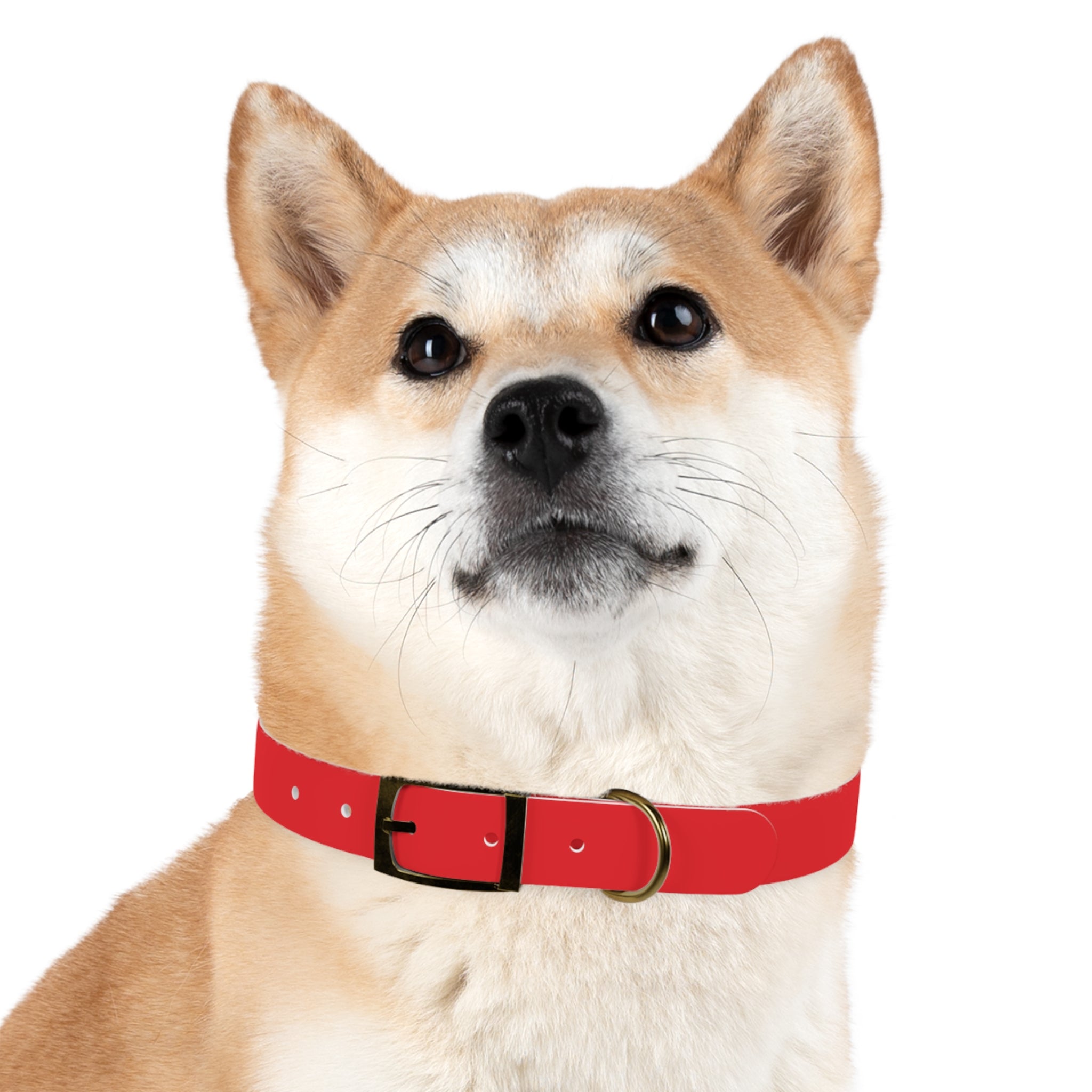 Red Personalized Dog Collar with Texas Logo — Durable Adjustable Pet Collar