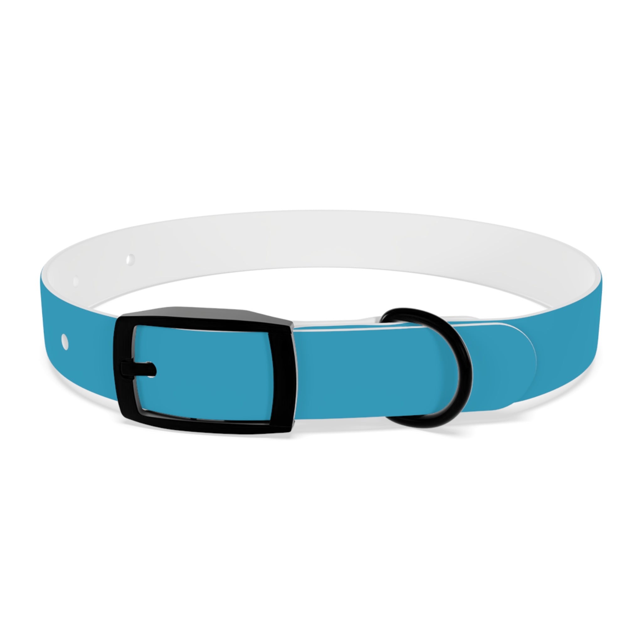 Blue Custom Dog Collar with Texas Livestock Association Logo
