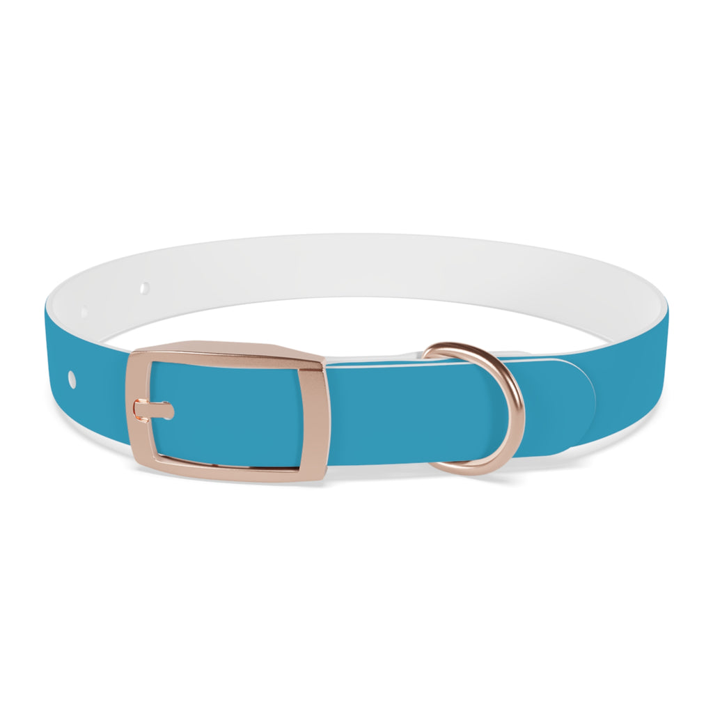 Blue Custom Dog Collar with Texas Livestock Association Logo