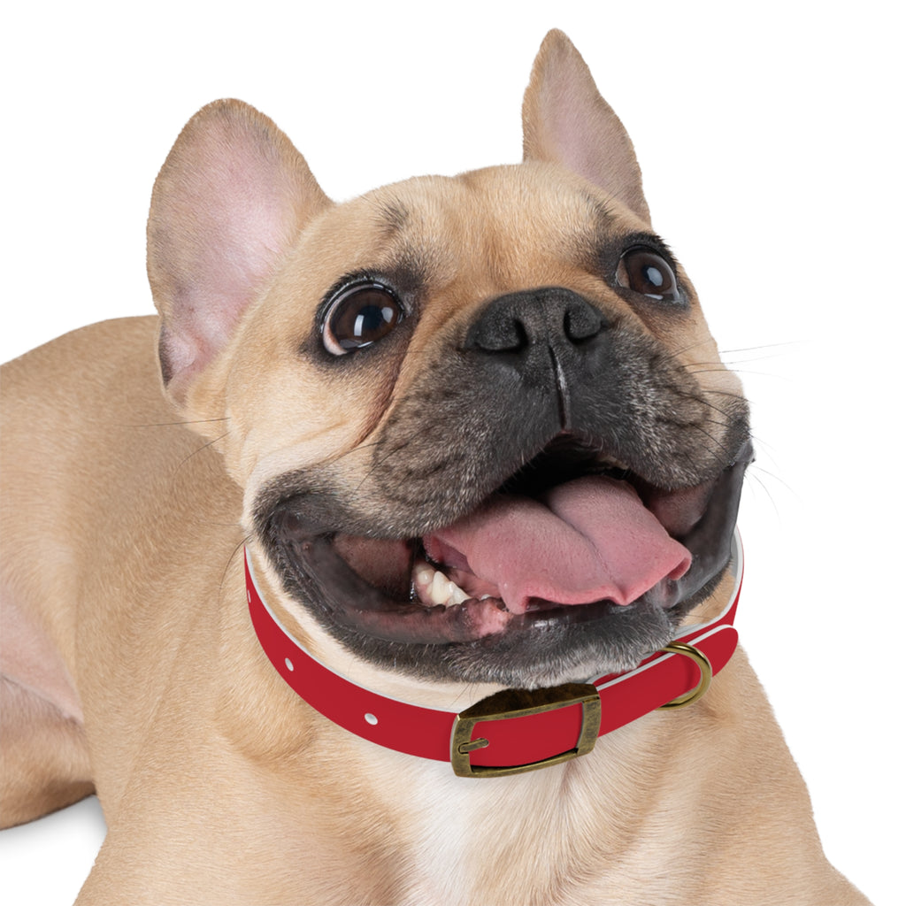 Red Pet Collar with Texas Logo — Durable Adjustable Dog Collar