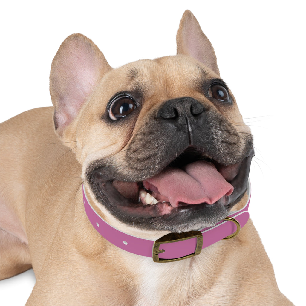 Pink Texas Livestock Association Dog Collar — Adjustable Pet Collar