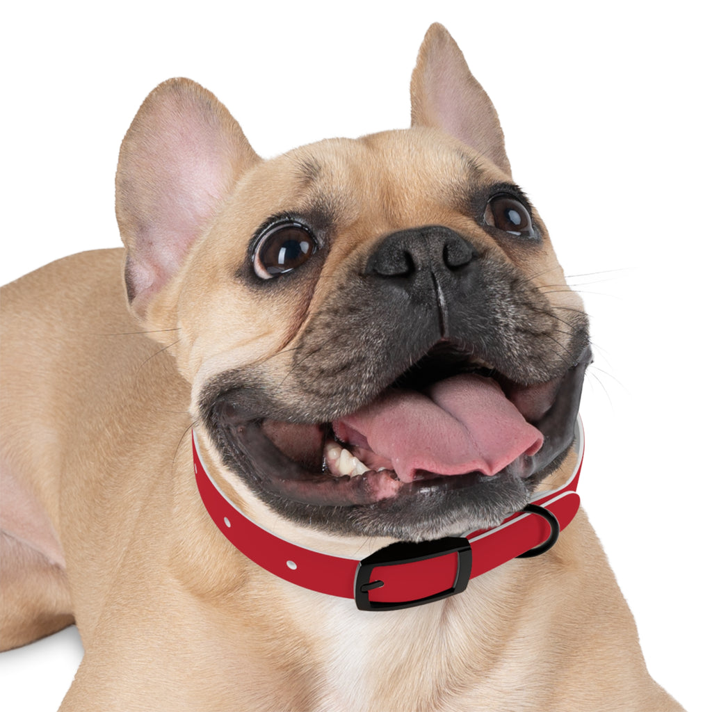 Red Pet Collar with Texas Logo — Durable Adjustable Dog Collar
