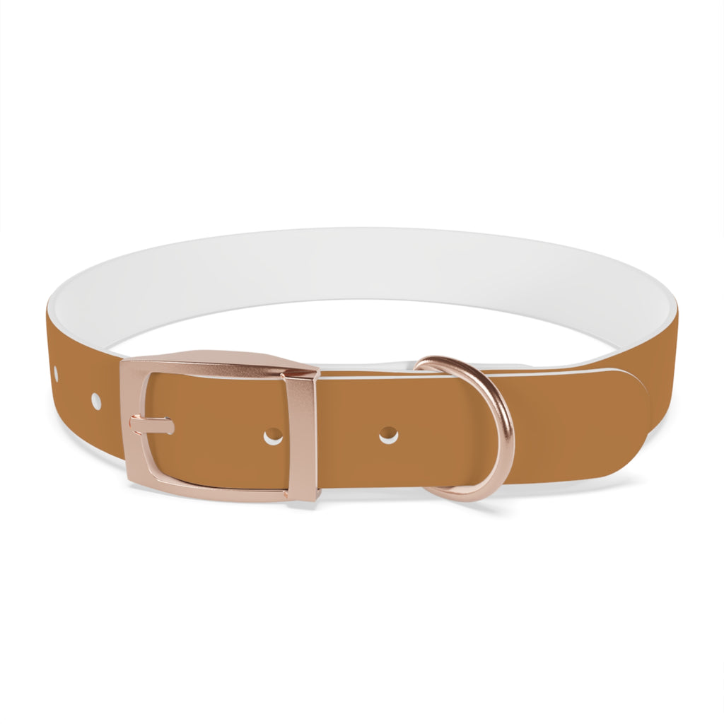 Leather Dog Collar with Texas Livestock Association Logo — Durable Brown Pet Collar