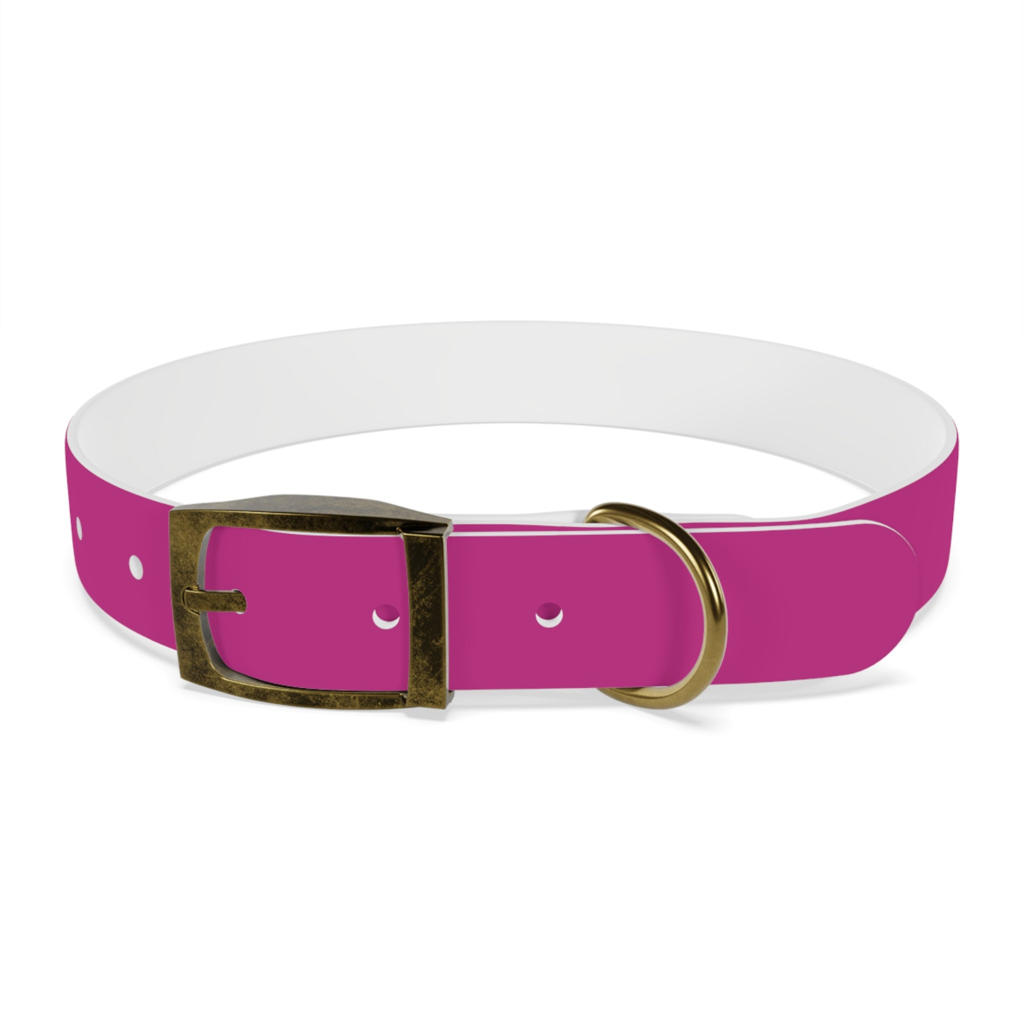 Pink Leather Dog Collar — Texas Livestock Show Logo