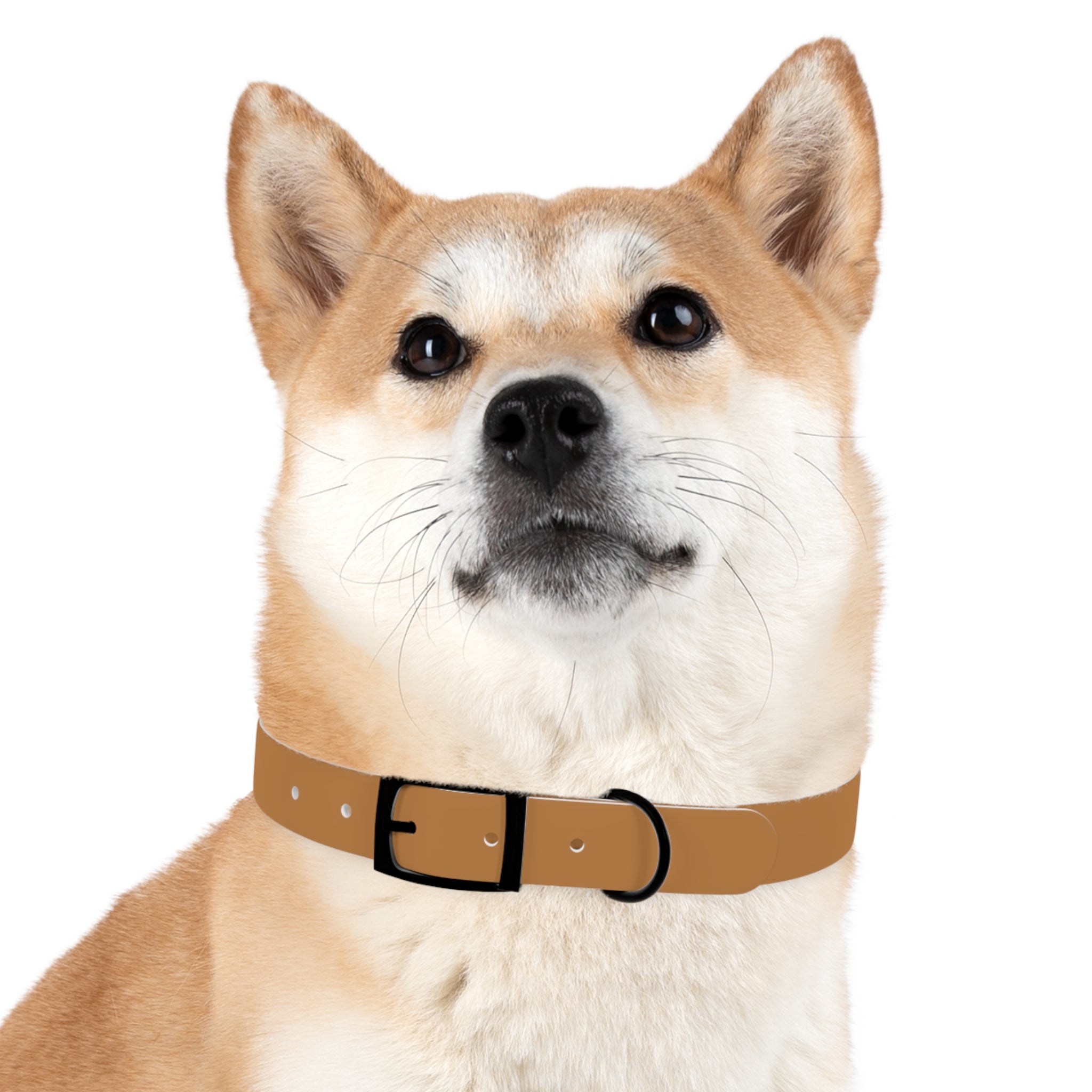 Leather Dog Collar with Texas Livestock Association Logo — Durable Brown Pet Collar