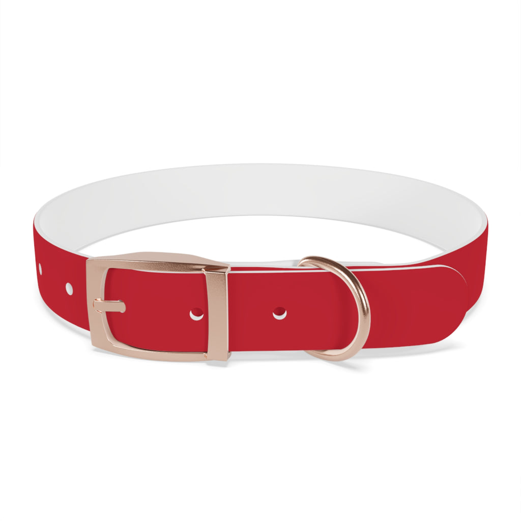 Red Pet Collar with Texas Logo — Durable Adjustable Dog Collar