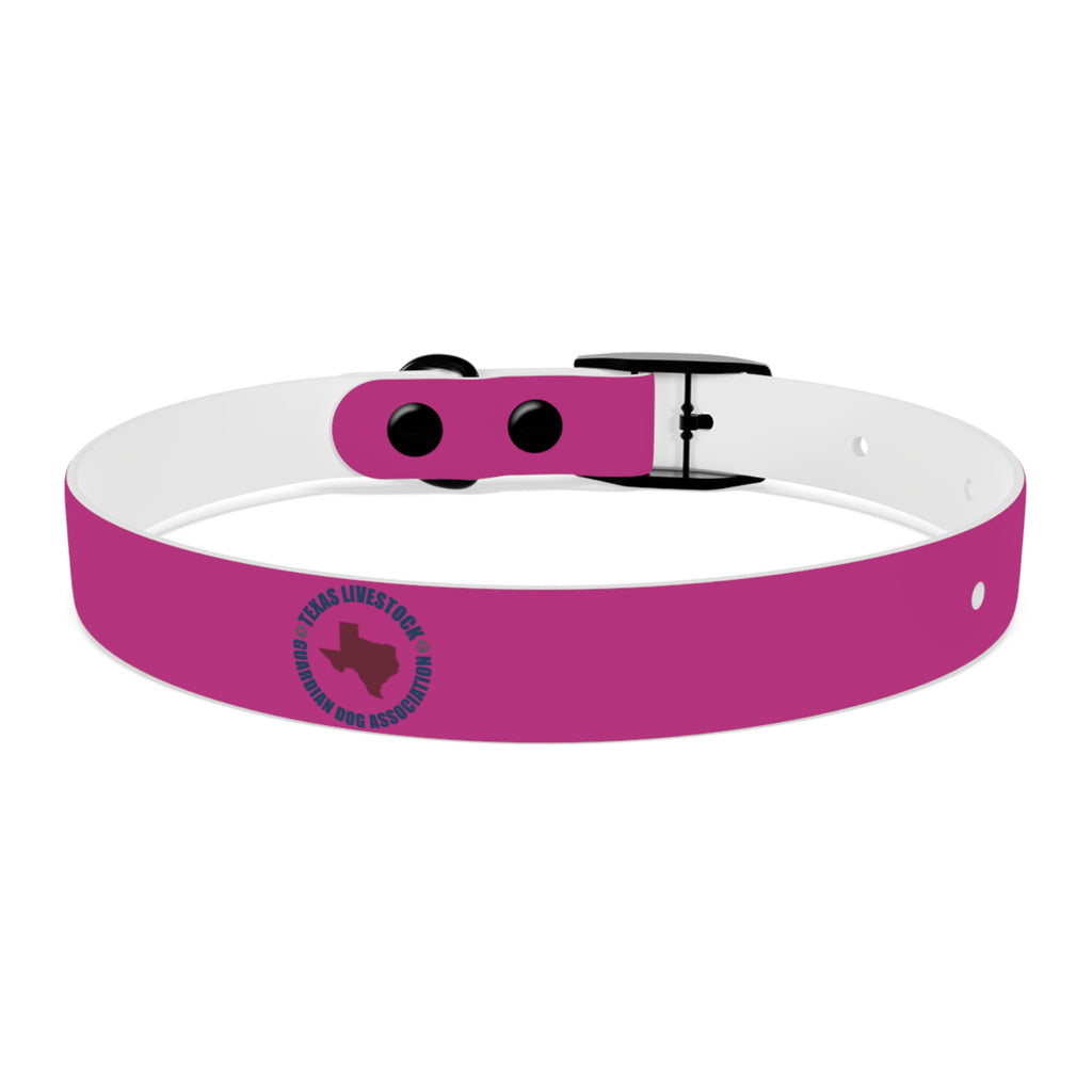 Pink Leather Dog Collar — Texas Livestock Show Logo