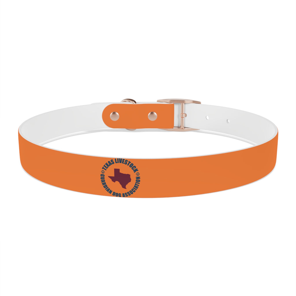 Orange Logo Dog Collar — Texas Livestock Club Pet Collar