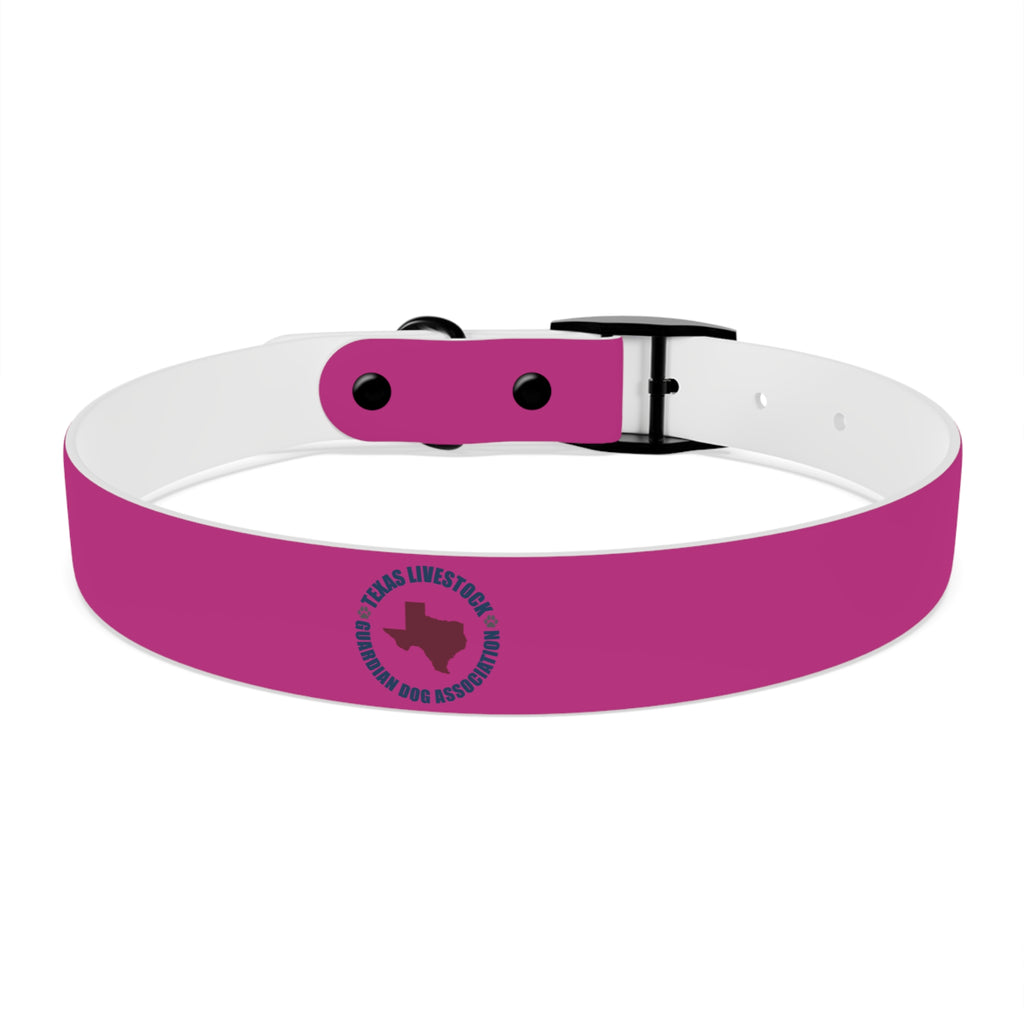 Pink Leather Dog Collar — Texas Livestock Show Logo