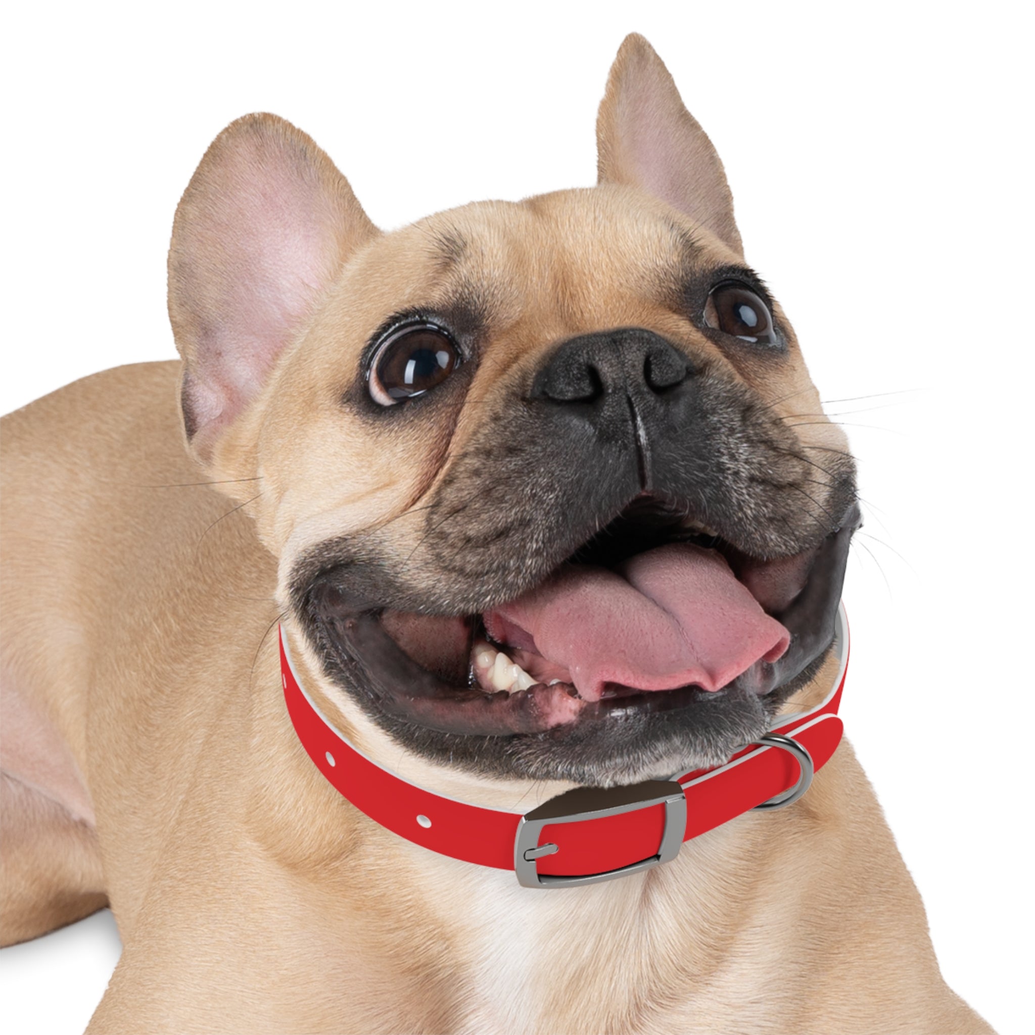 Red Personalized Dog Collar with Texas Logo — Durable Adjustable Pet Collar