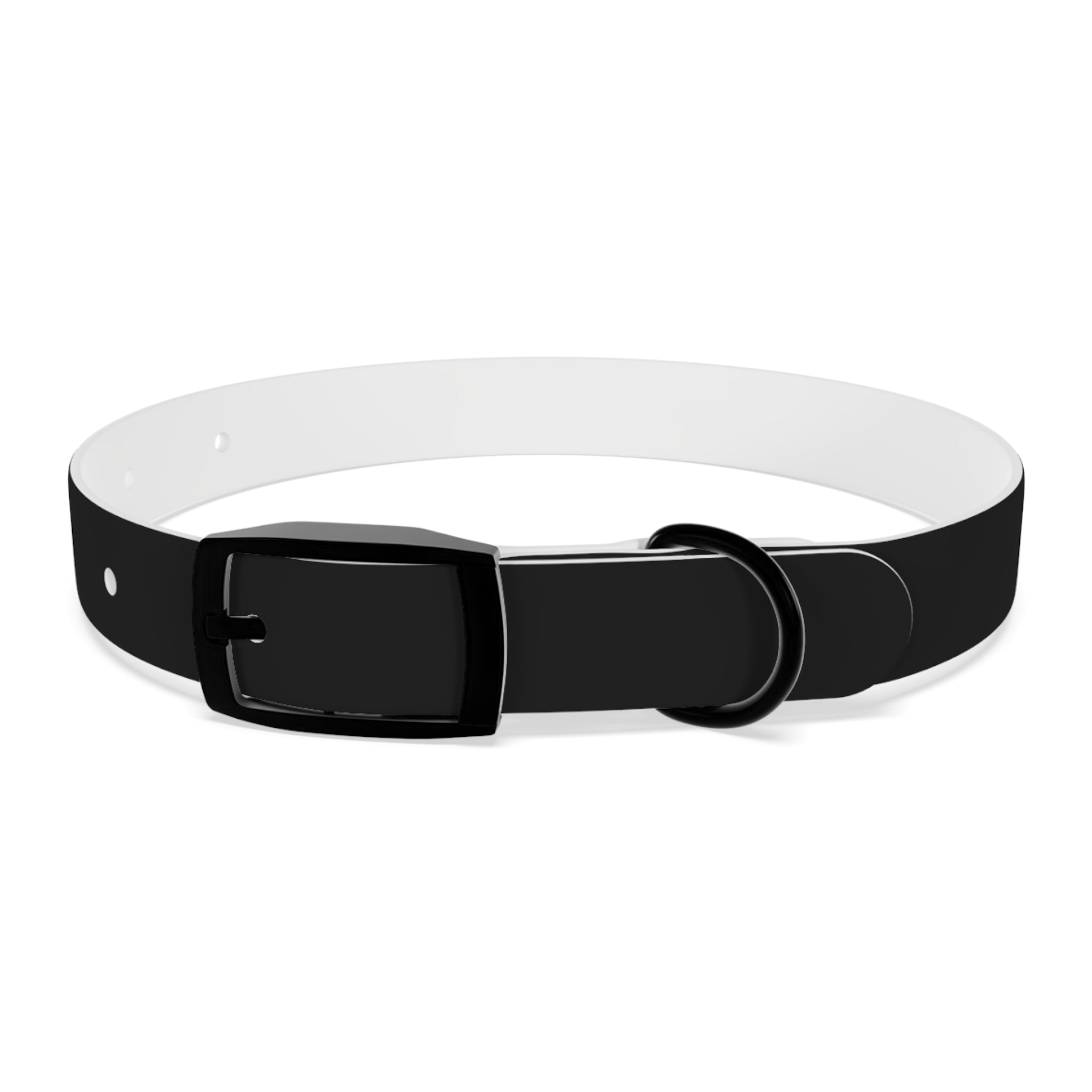 Black Leather Dog Collar — Durable Everyday Collar with Metal Buckle