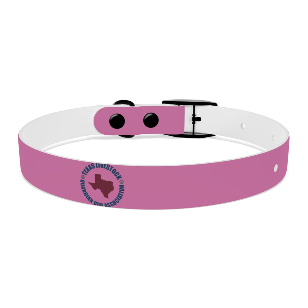 Pink Texas Livestock Association Dog Collar — Adjustable Pet Collar