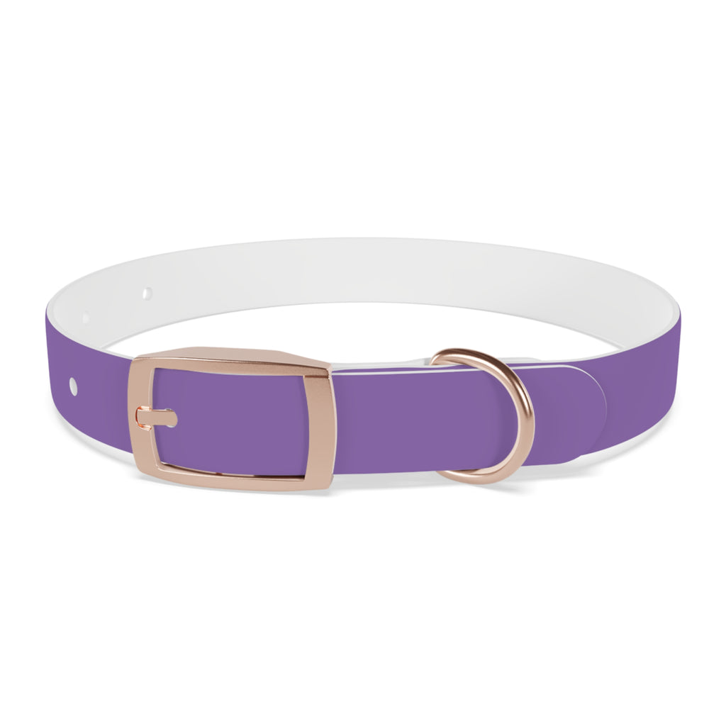 Purple Custom Dog Collar with Texas Livestock Logo — Durable Adjustable Pet Collar