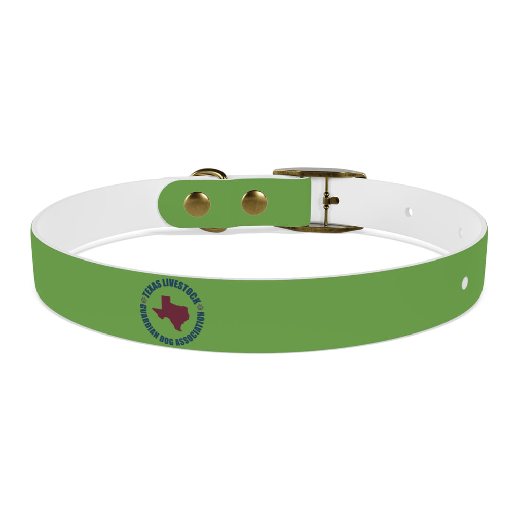 Dog Collar