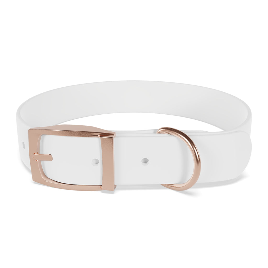 Custom Printed Dog Collar — Texas Livestock Association Logo