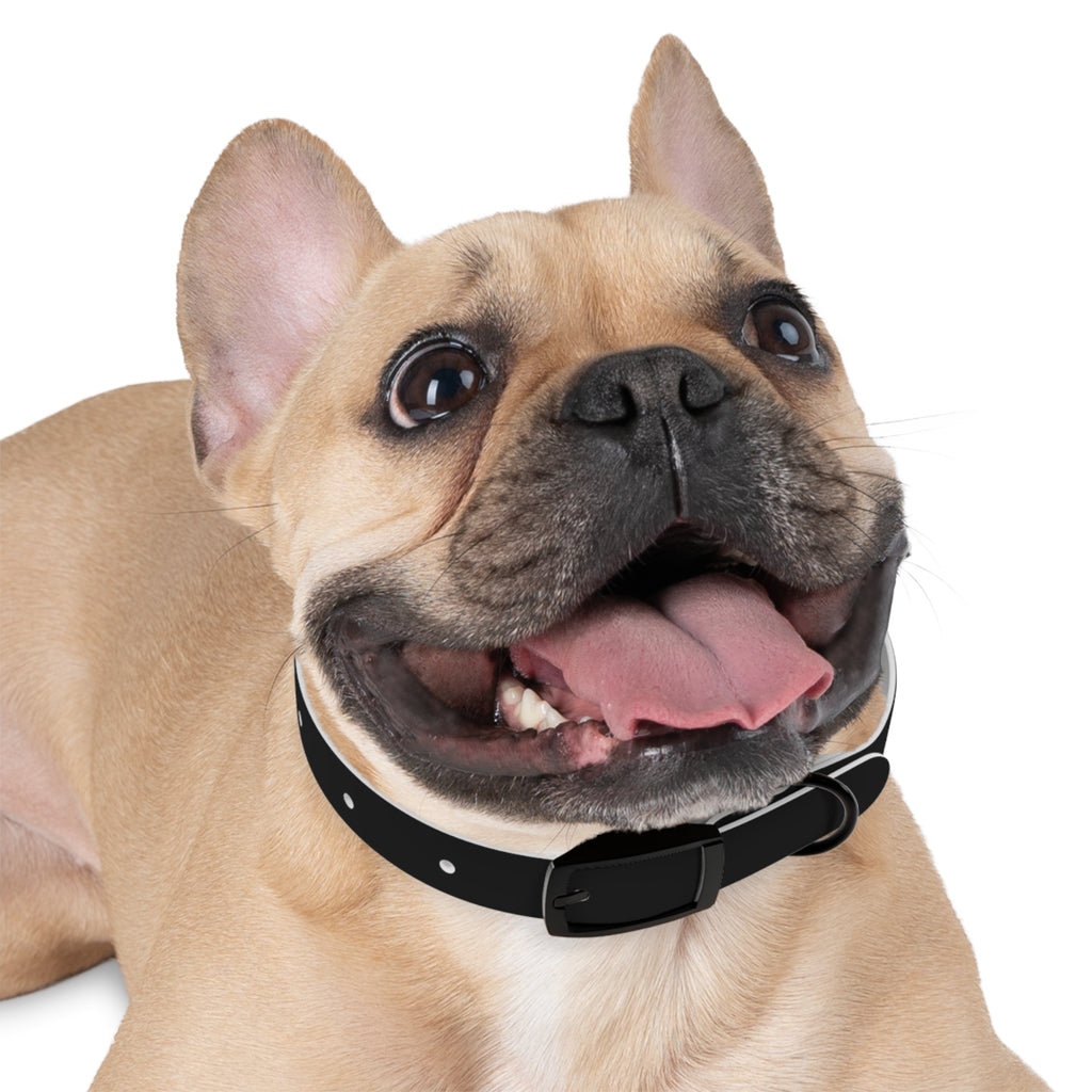 Black Leather Dog Collar — Durable Everyday Collar with Metal Buckle