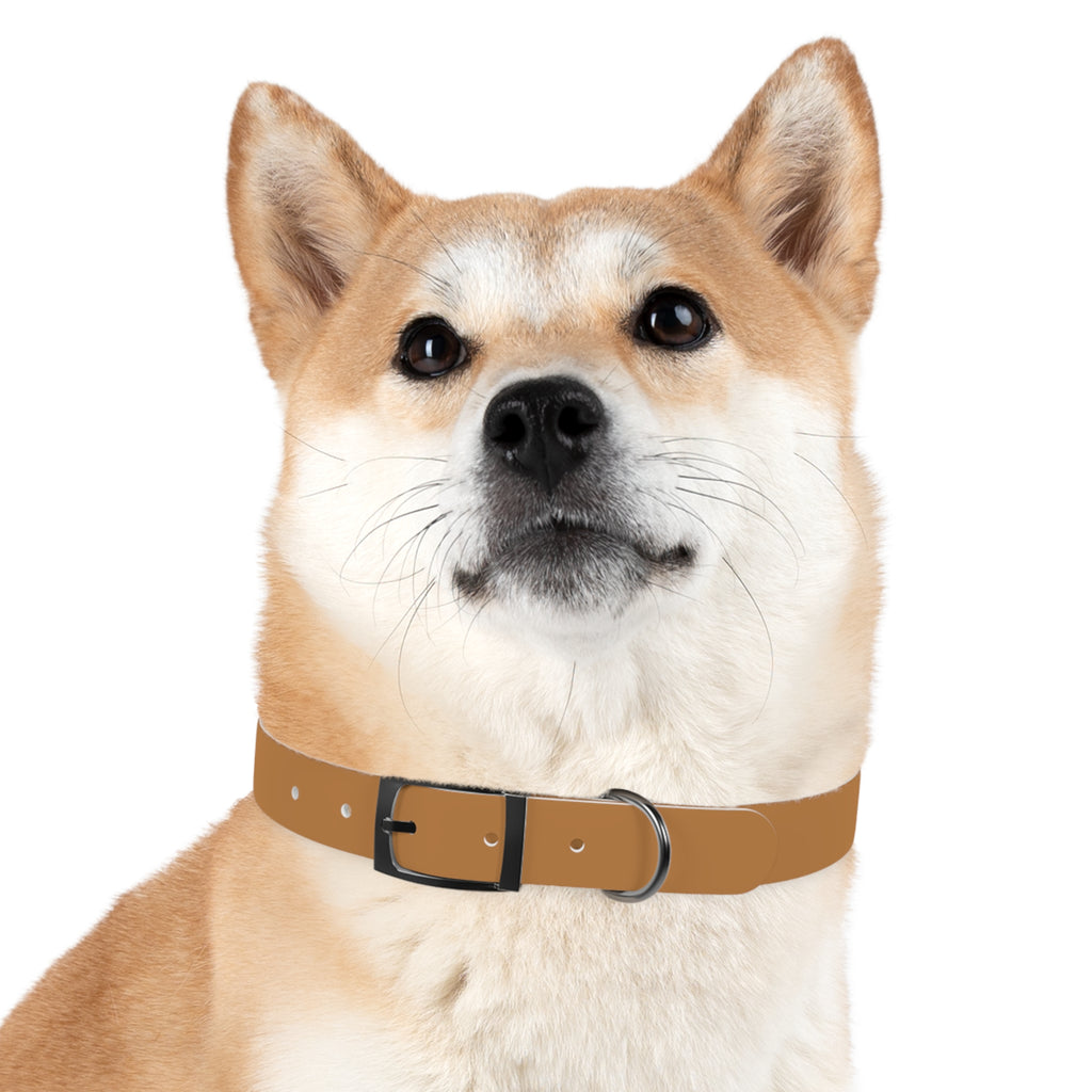 Leather Dog Collar with Texas Livestock Association Logo — Durable Brown Pet Collar