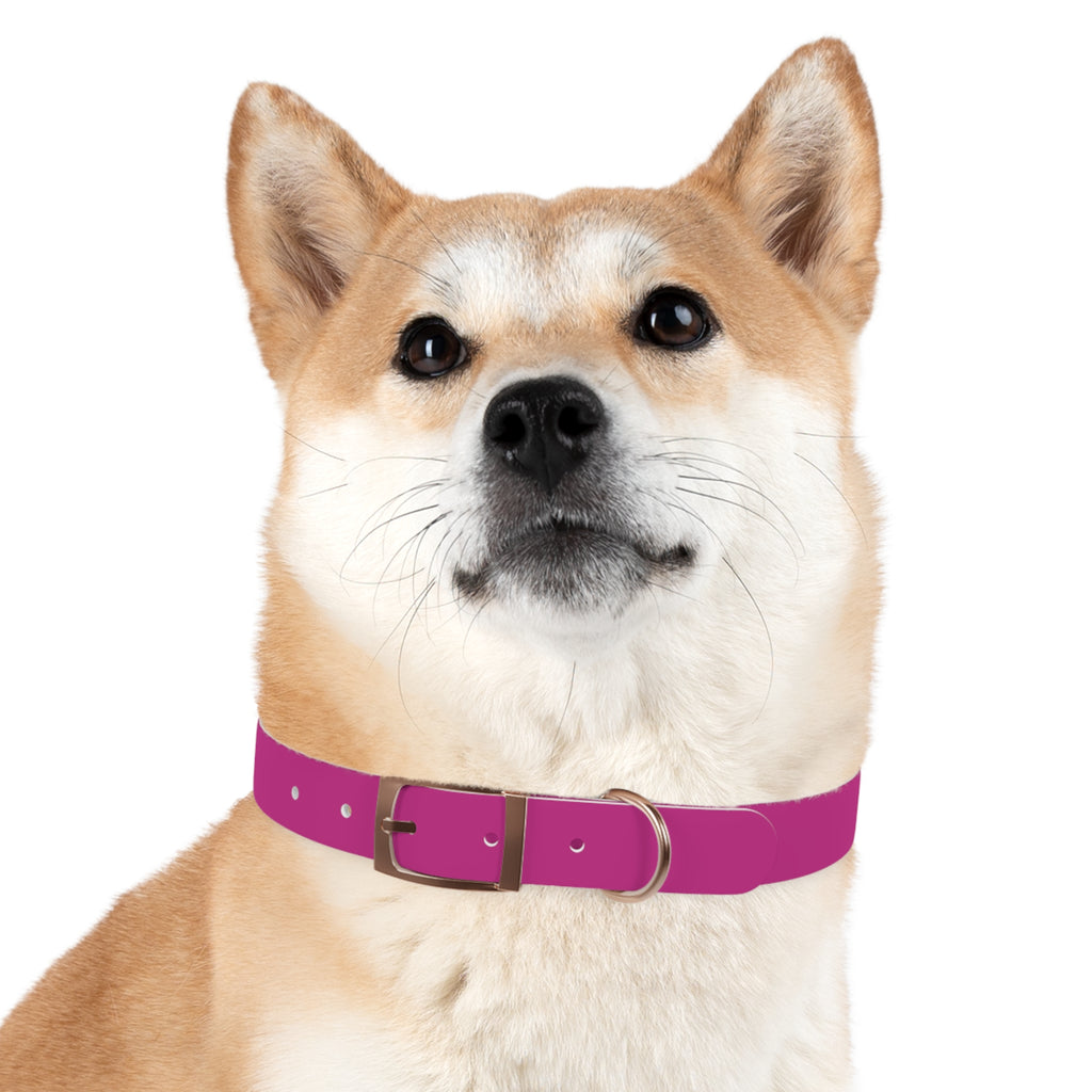 Pink Leather Dog Collar — Texas Livestock Show Logo