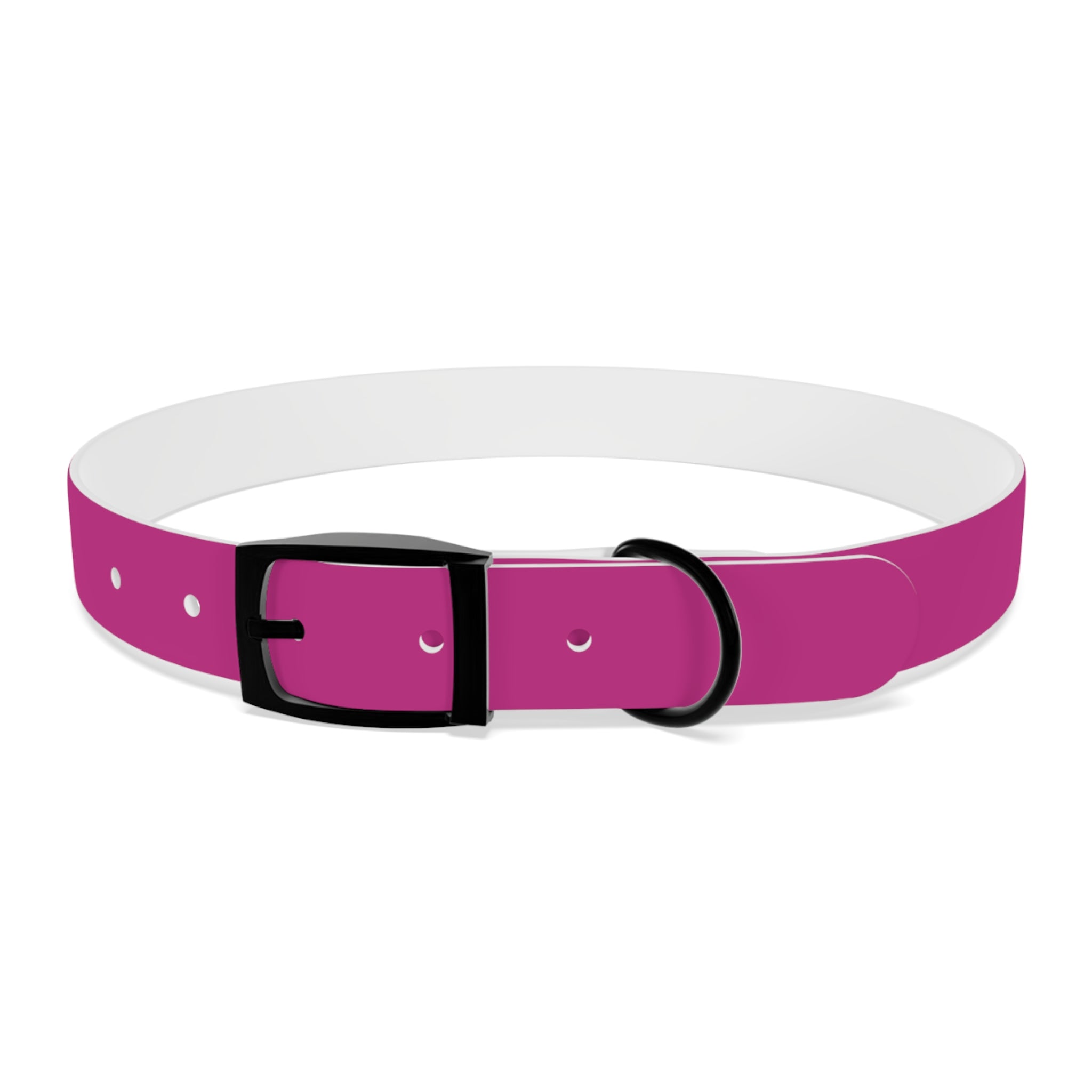 Pink Leather Dog Collar — Texas Livestock Show Logo