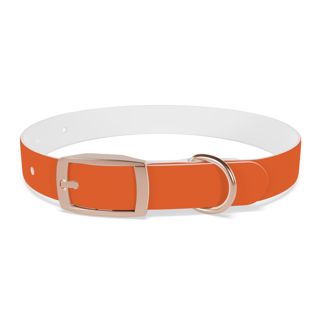 Orange Leather Dog Collar — Texas Livestock Logo