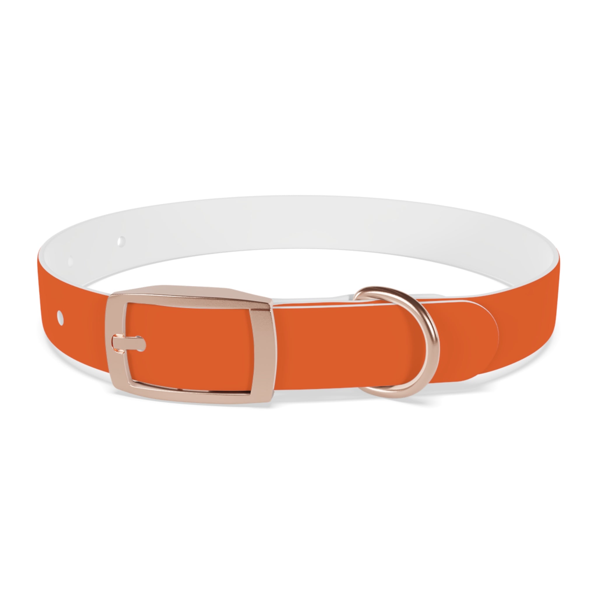 Orange Leather Dog Collar — Texas Livestock Logo