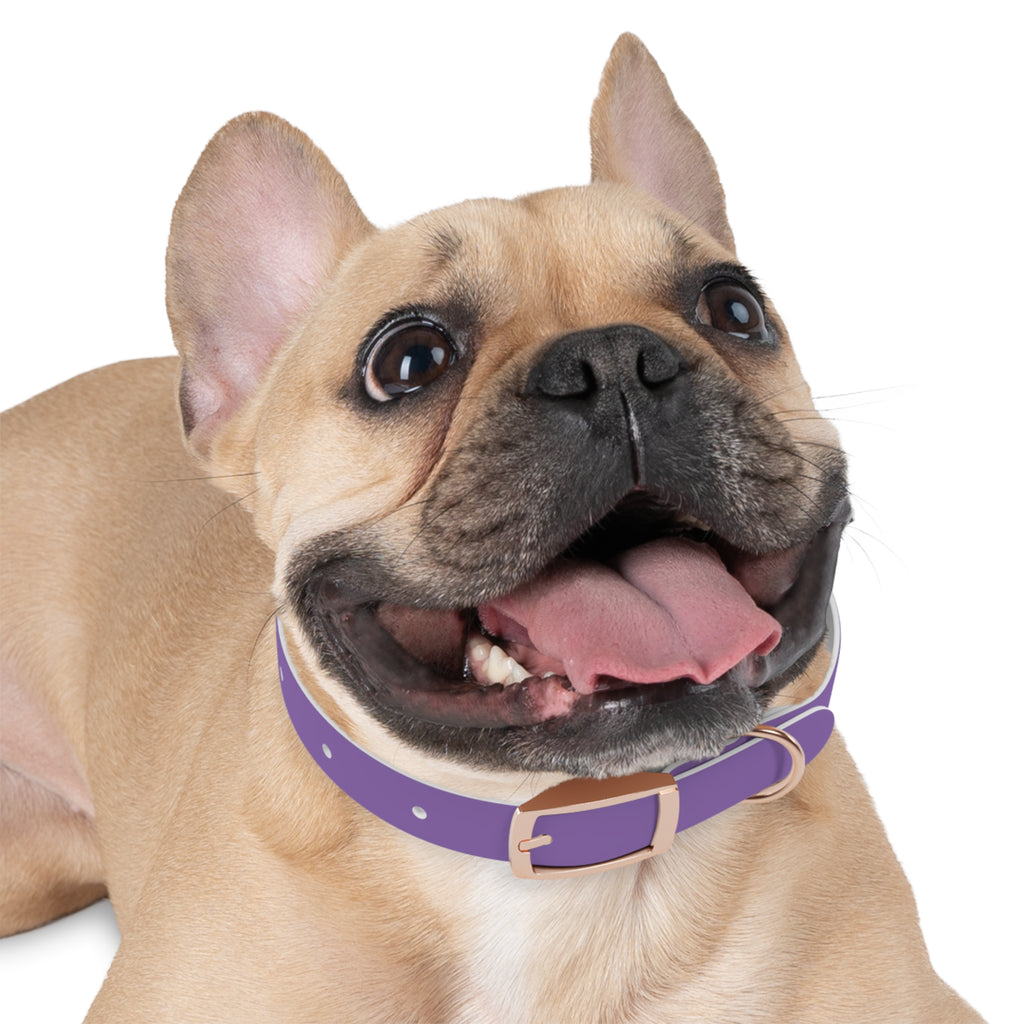 Purple Custom Dog Collar with Texas Livestock Logo — Durable Adjustable Pet Collar