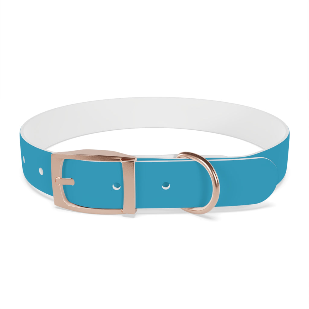 Blue Custom Dog Collar with Texas Livestock Association Logo