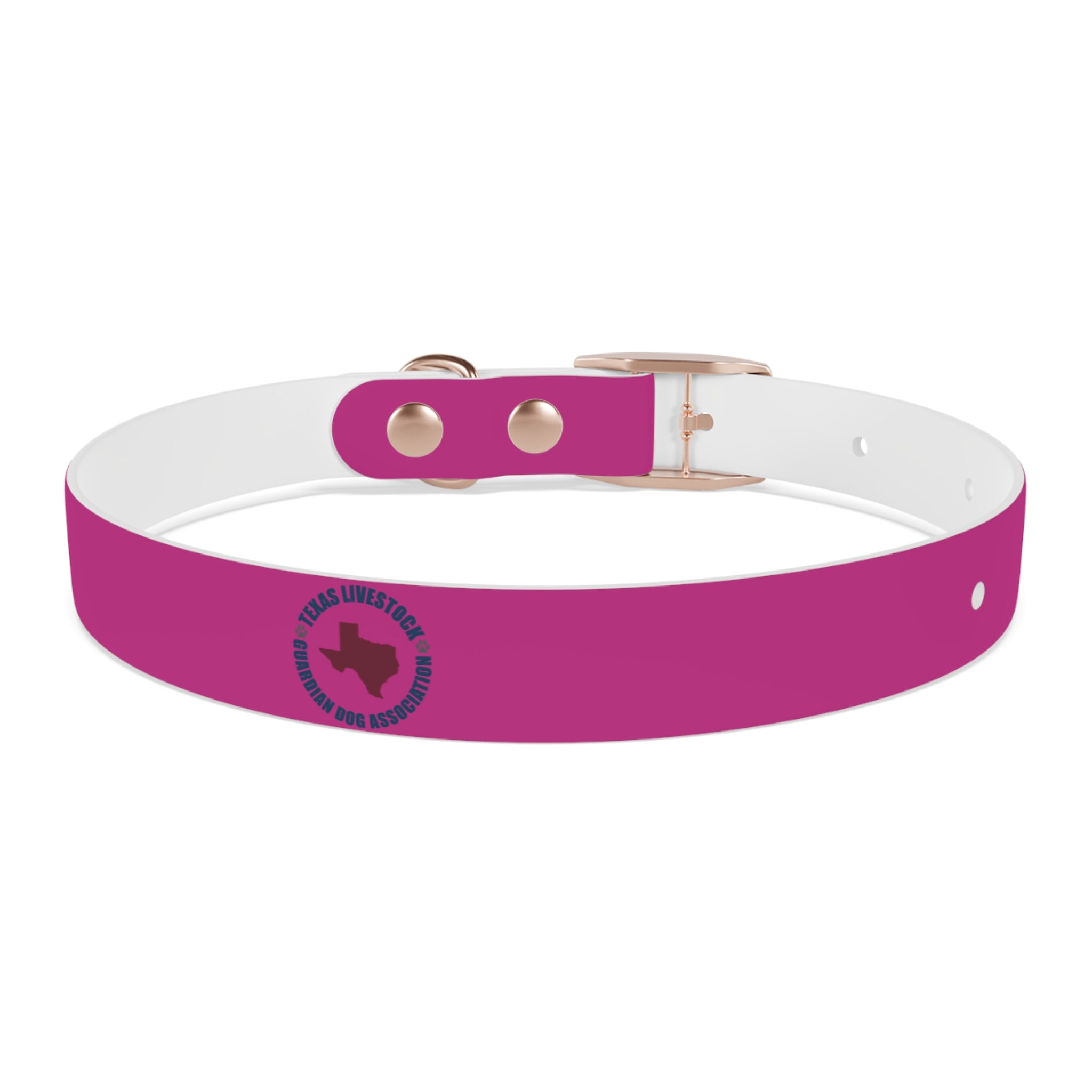 Pink Leather Dog Collar — Texas Livestock Show Logo
