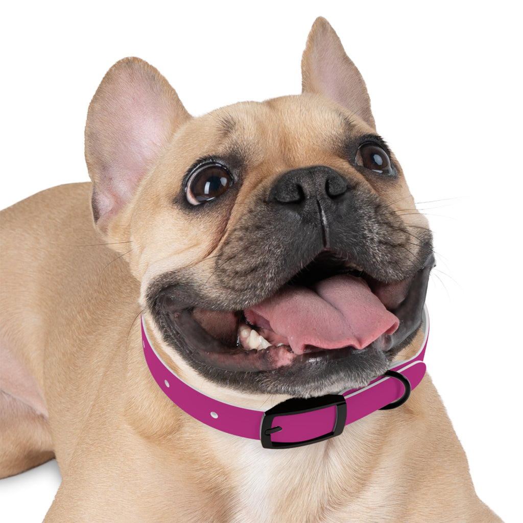 Pink Leather Dog Collar — Texas Livestock Show Logo