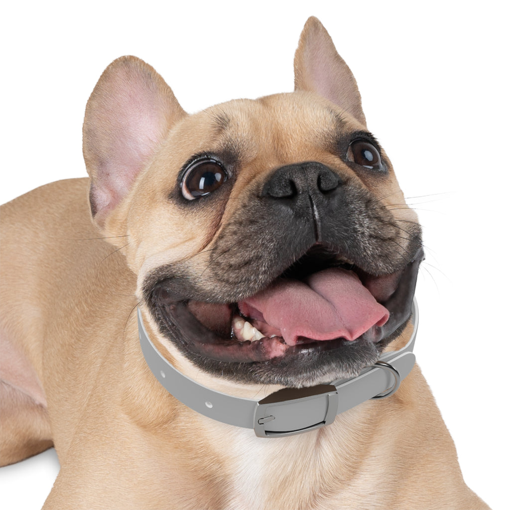Customized White Dog Collar with Texas Livestock Association Logo